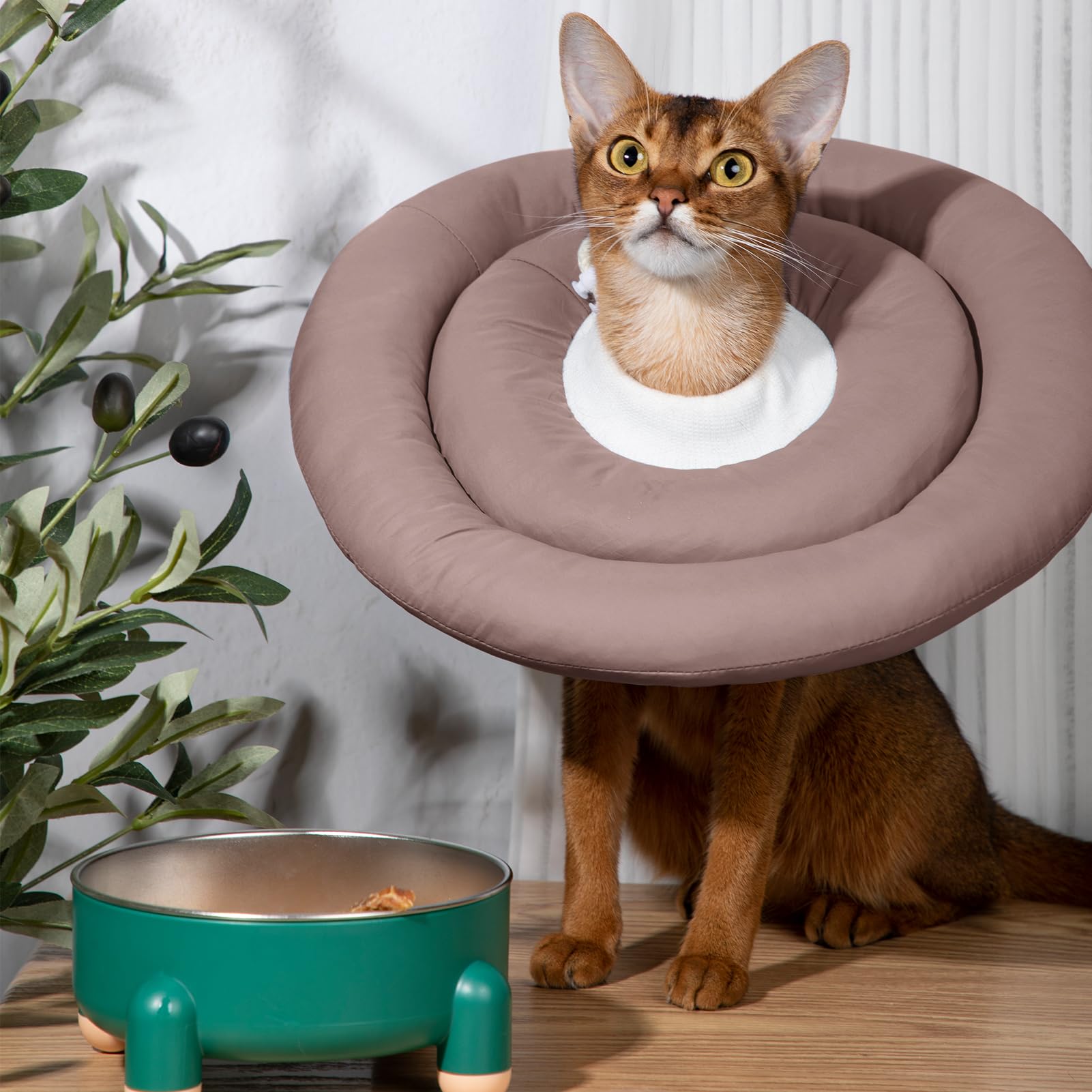 Elizabethan Collar for Medium Dogs & Cats - Soft, Adjustable, Post-Surgery Recovery Donut Collar