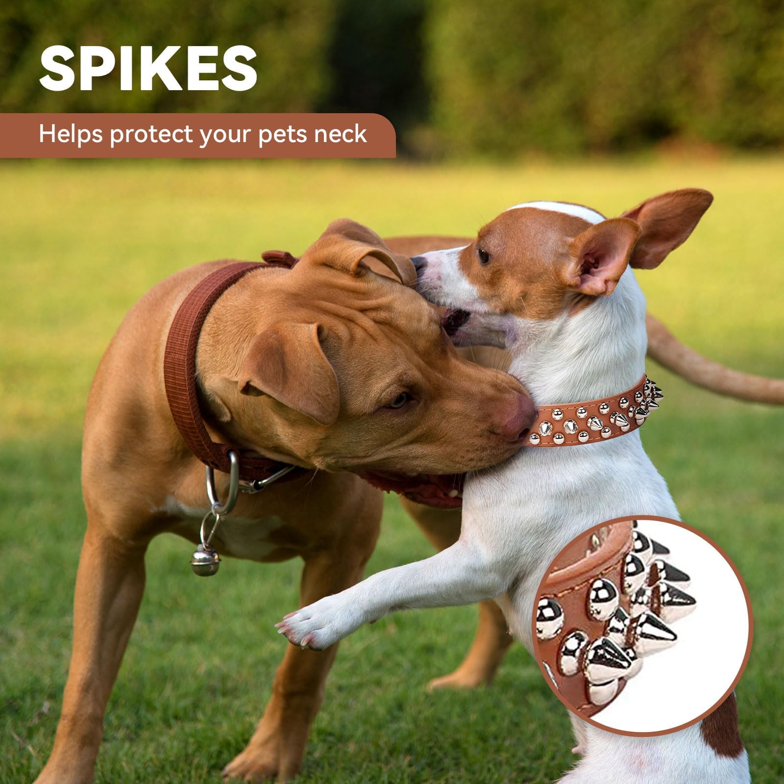 Doggyzstyle Small Spiked Dog Cat Collar For Small Medium Dogs Boy Male - Adjustable Studded Puppy Collars - Soft Padded Punk Lea