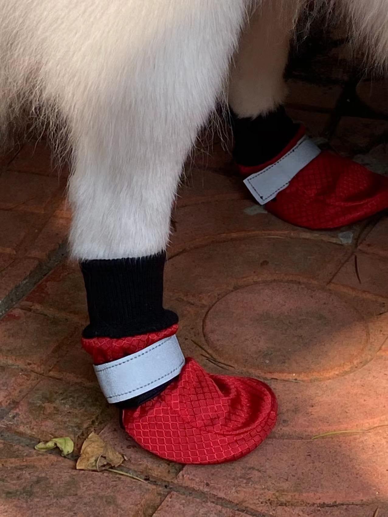 LONSUNEER Winter Paw Protector Dog Boots Waterproof Soft Sole and Nonslip Set of 4 Color Red Size X-Small