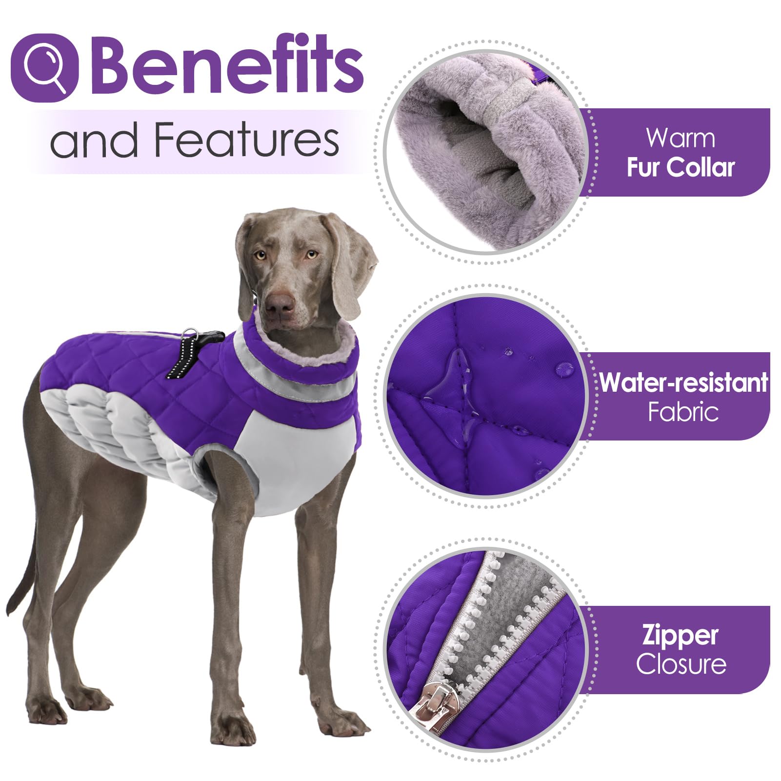 Aofitee Winter Dog Coat Warm Fleece Dog Jacket For Cold Weather, Reflective Zip Up Puppy Dog Sport Vest With Leash Rings, Outdoor Pet Sweater Apparel Clothes For Small Medium Large Dogs, Purple Xs