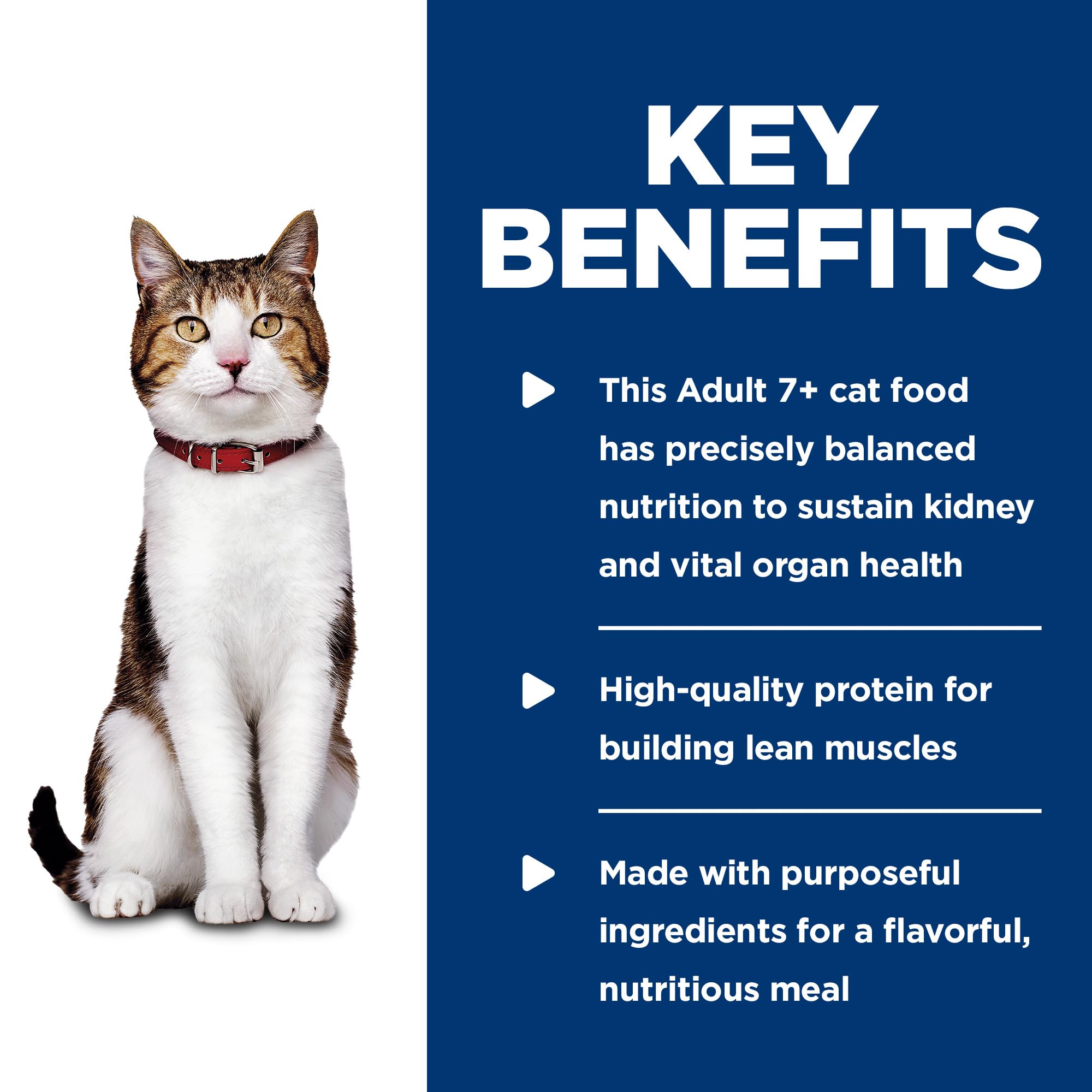 Hills Science Diet Adult 7+ Savory Turkey Entree Minced Cat Food, 5.5-Ounce Can, 24-Pack