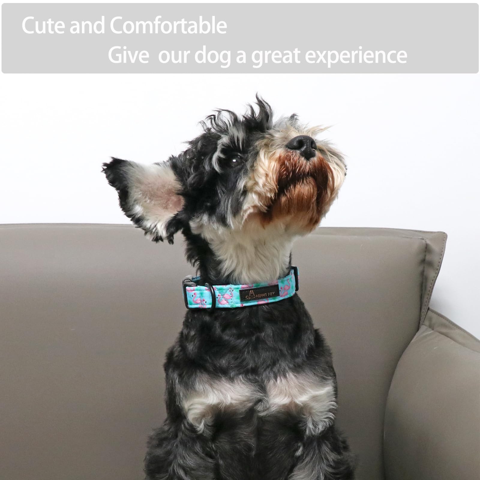 Aring Pet Flamingo Dog Collar-Cute Cotton Small Dog Collars, Adjustable Lightweight Summer Pet Collars For Small Medium Large Boy And Girl Dogs, Small