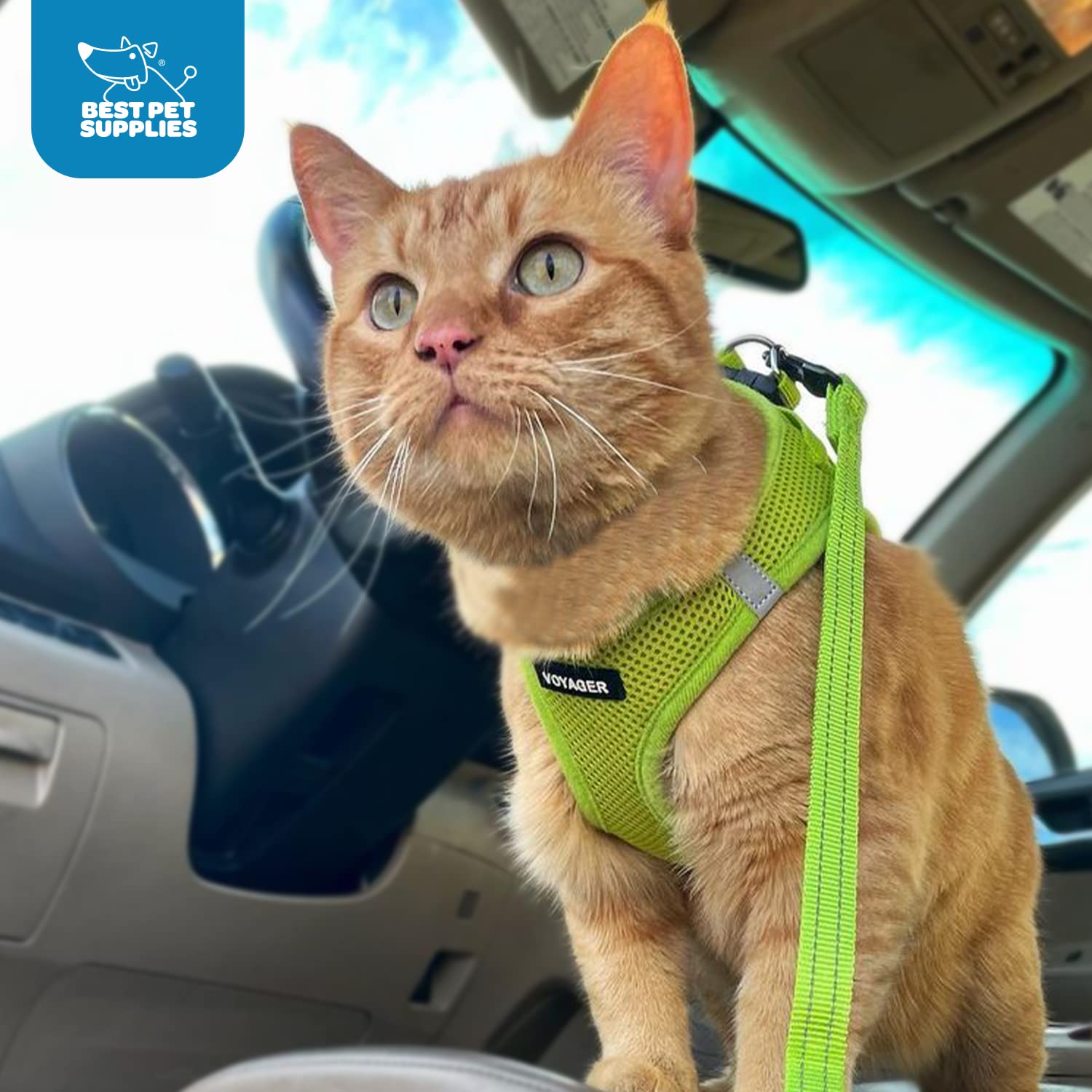 Voyager Step-In Air Dog Harness - All Weather Mesh Step In Vest Harness For Small And Medium Dogs And Cats By Best Pet Supplies - Harness (Lime Green), Xxxs (Chest: 9.5-10.5' * Fit Cats)