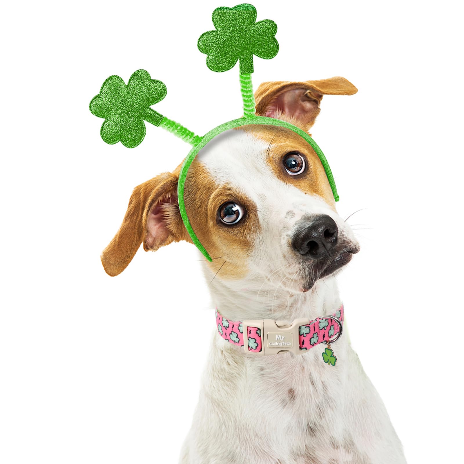 Mr.Chubbyface St. Patrick'S Dog Collar,Pink Clover Shamrock Pet Collar With Quick Release Buckle, Durable Adjustable Spring Coll