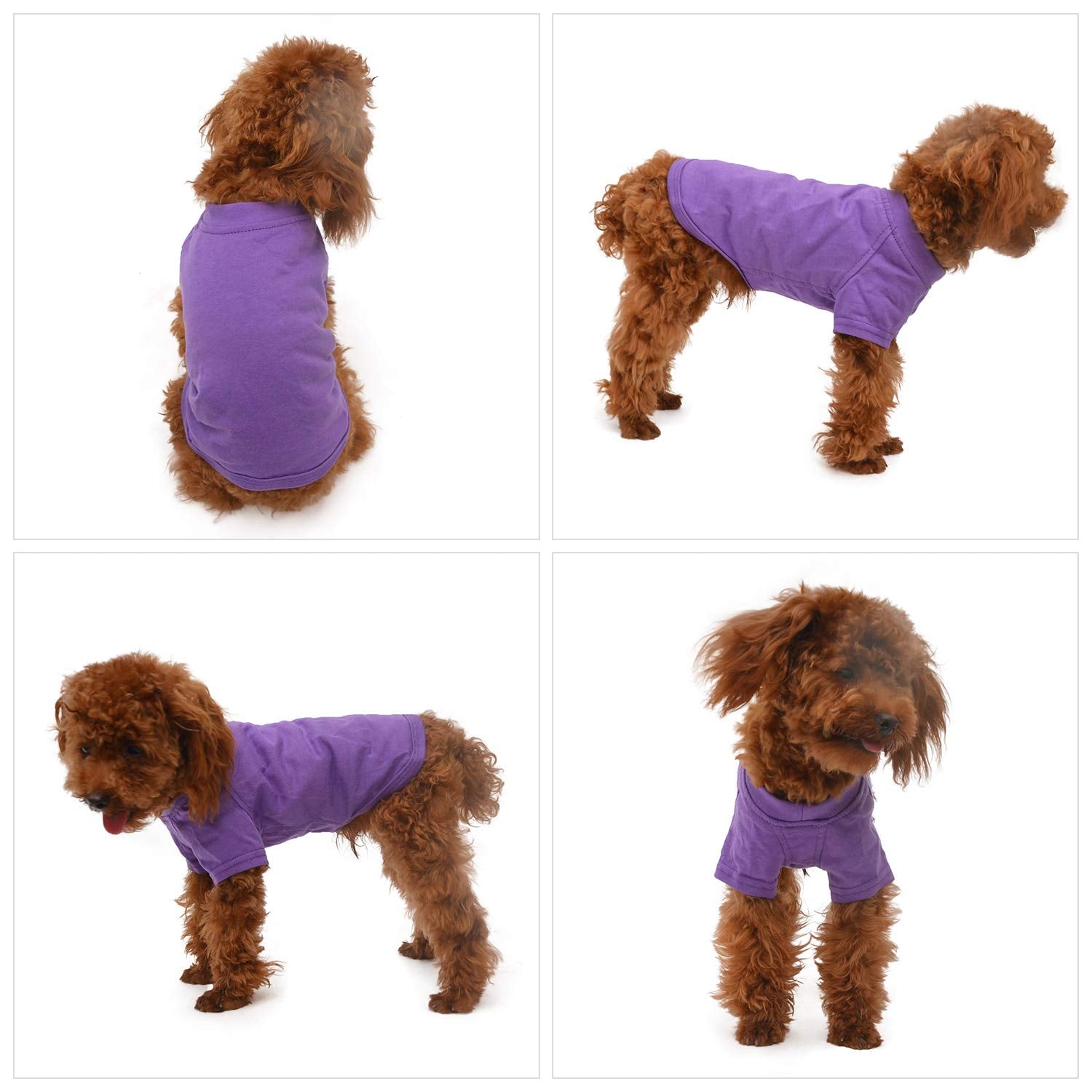 Lovelonglong Pet Clothing Dog Costumes Basic Blank T-Shirt Tee Shirts for Small Dogs Purple S
