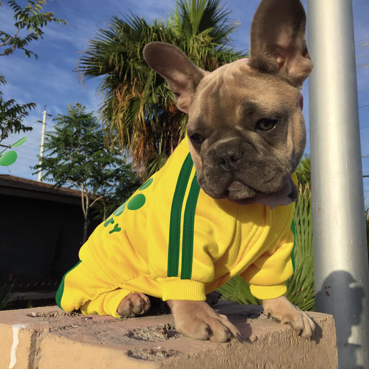 Oturnue'S Soft & Warm Dog Outfit: Security Dog Jumpsuit Sweatshirt Hoodie For Small To Large Dogs & Cats (Yellow, Xx-Small & Lar