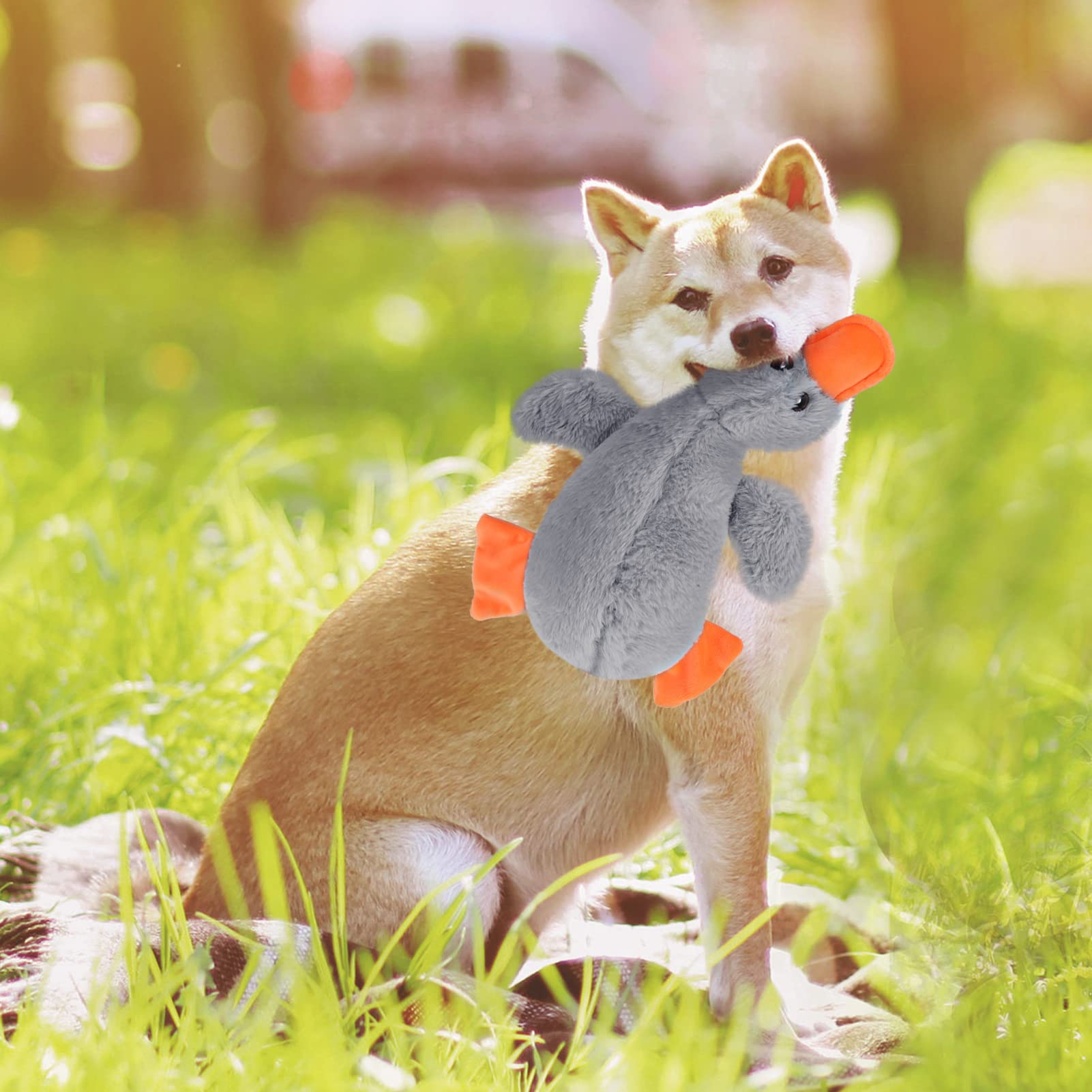 Expawlorer Plush Squeaky Duck Dog Toy - Soft Stuffed Cute Duck, Best Birthday Gift Interactive Filled Chew Toys For Small Medium Large Dogs Puppy Biting Training Teething, Grey