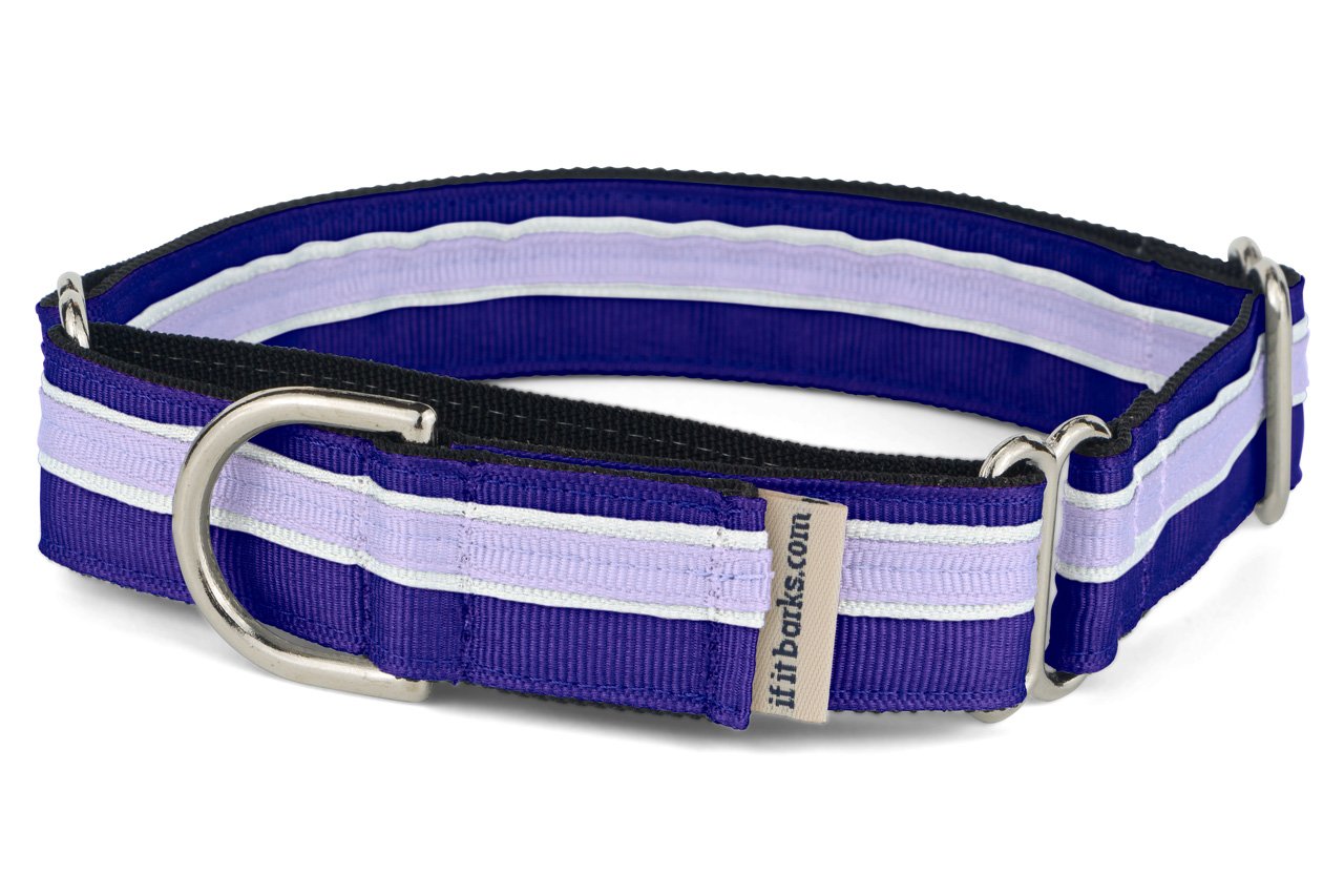 If It Barks 1' Martingale Collar For Dogs, Adjustable Nylon, Usa Made, Medium, Grape Crush