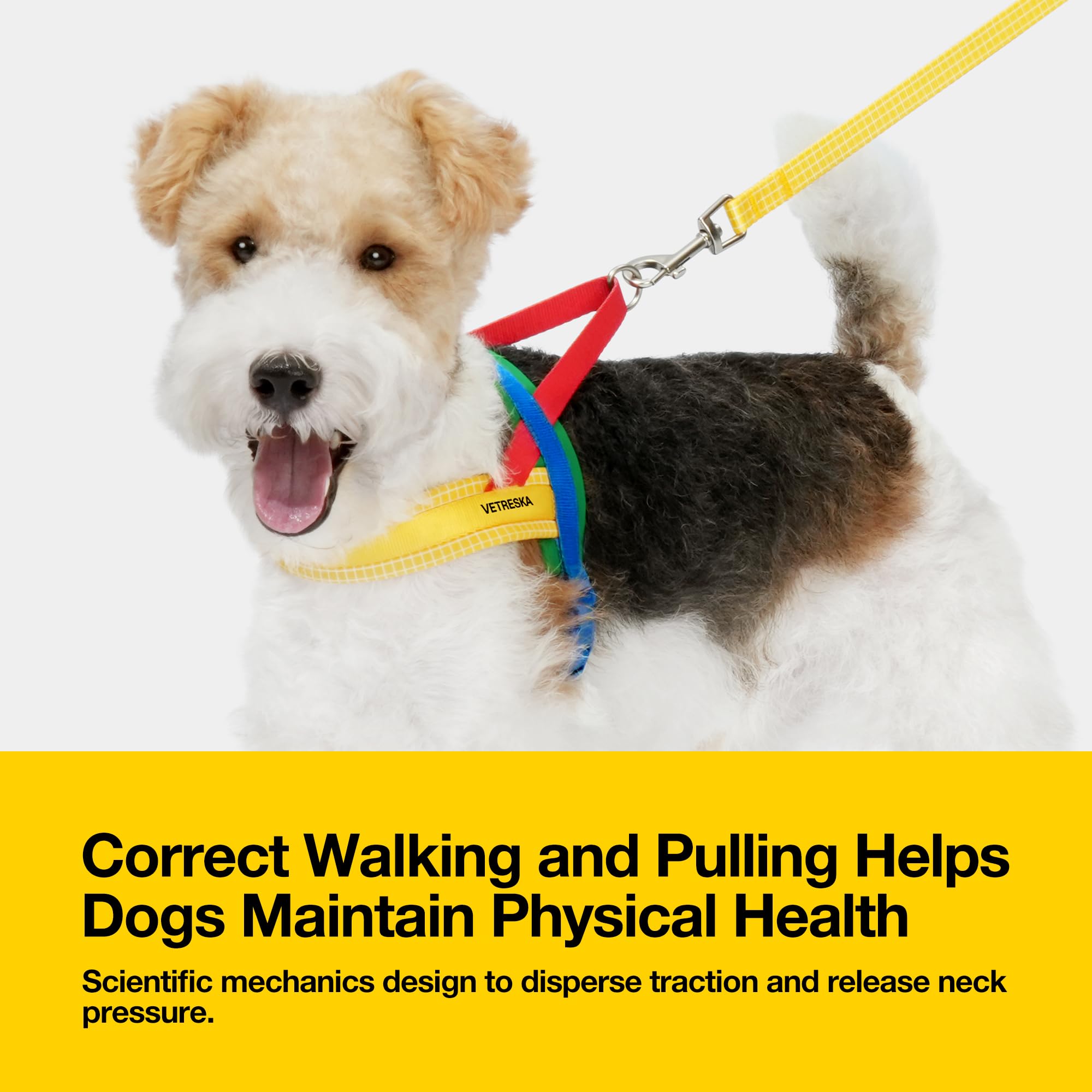 Vetreska Moma Dog Harness And Leash Set, Easy Walk Dog Harness For Small Medium Dogs, No Pull Puppy Harness For Walking And Trai