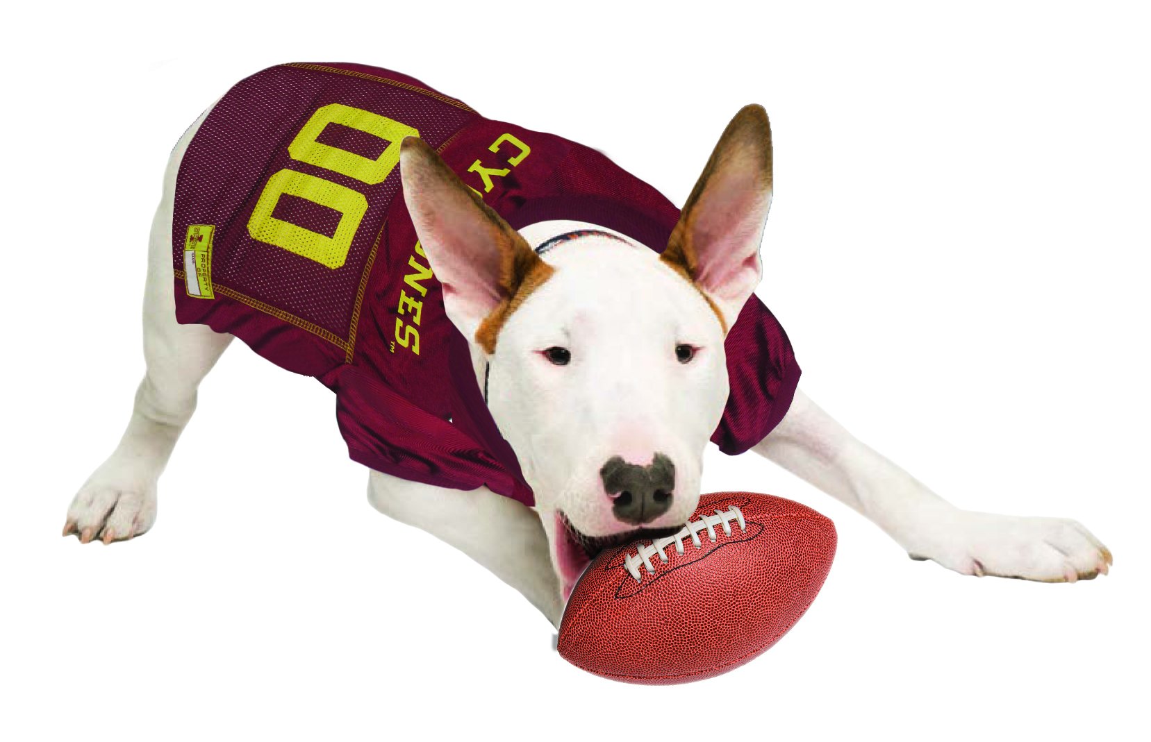 Pets First NCAA College Iowa State Cyclones Mesh Jersey for DOGS & CATS, Small. Licensed Dog Jersey with your Favorite Football/