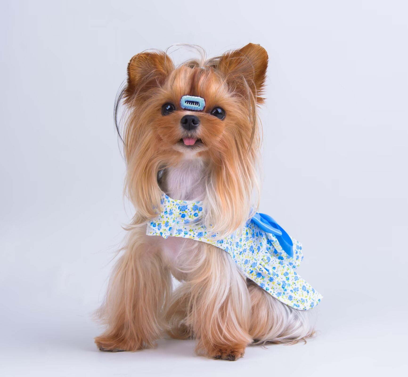 Msnfoasm Floral Print Dog Dress With Satin Bow And Pearl For Small Dogs Girl,Cat Apparel,Blue, Xx-Small