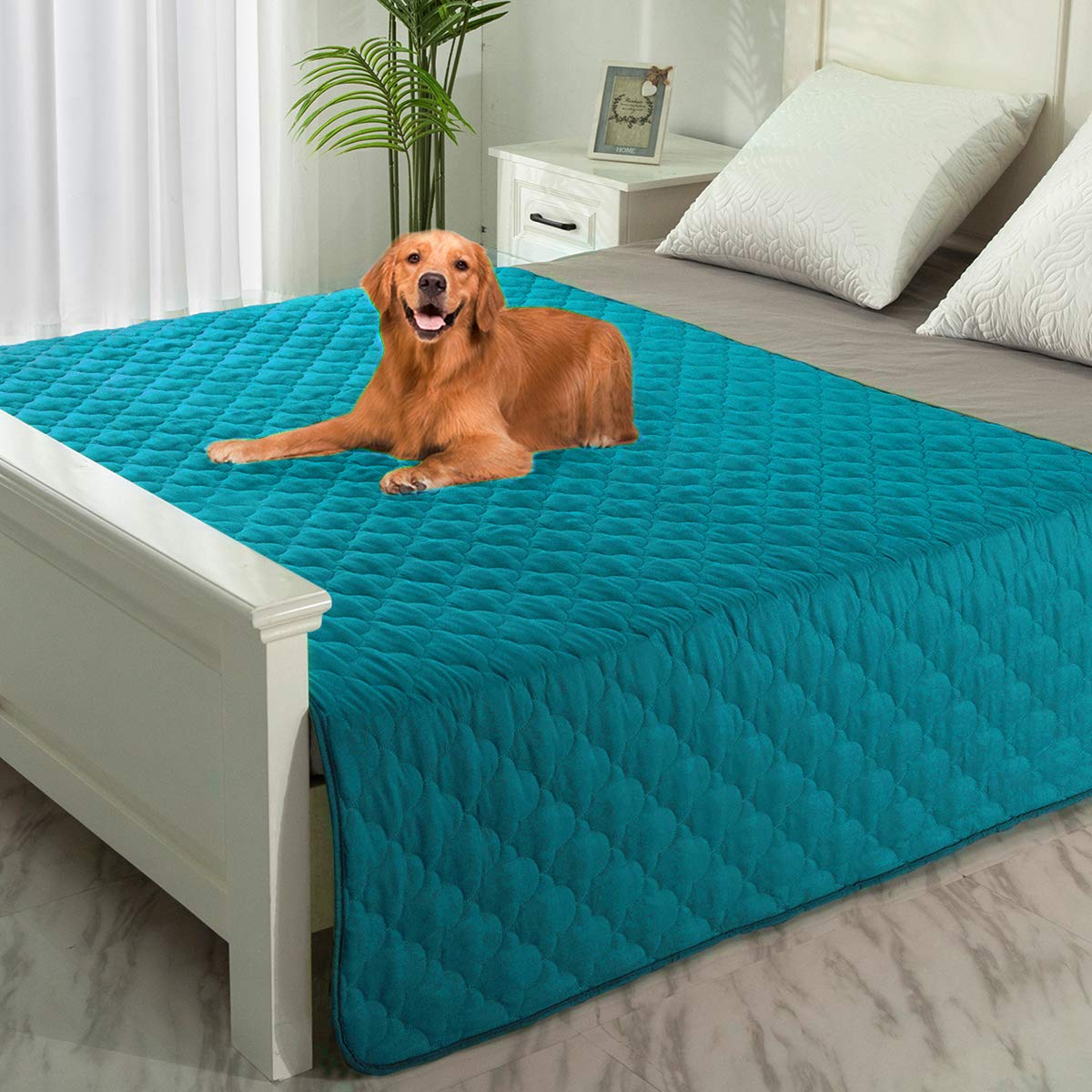 Spxtex Dog Bed Covers Dog Rugs Pet Pads Puppy Pads Washable Pee Pads For Dog Blankets For Couch Protection Super Soft Pet Bed Covers For Dog Training Pads 1 Piece 82'X82' Aqua