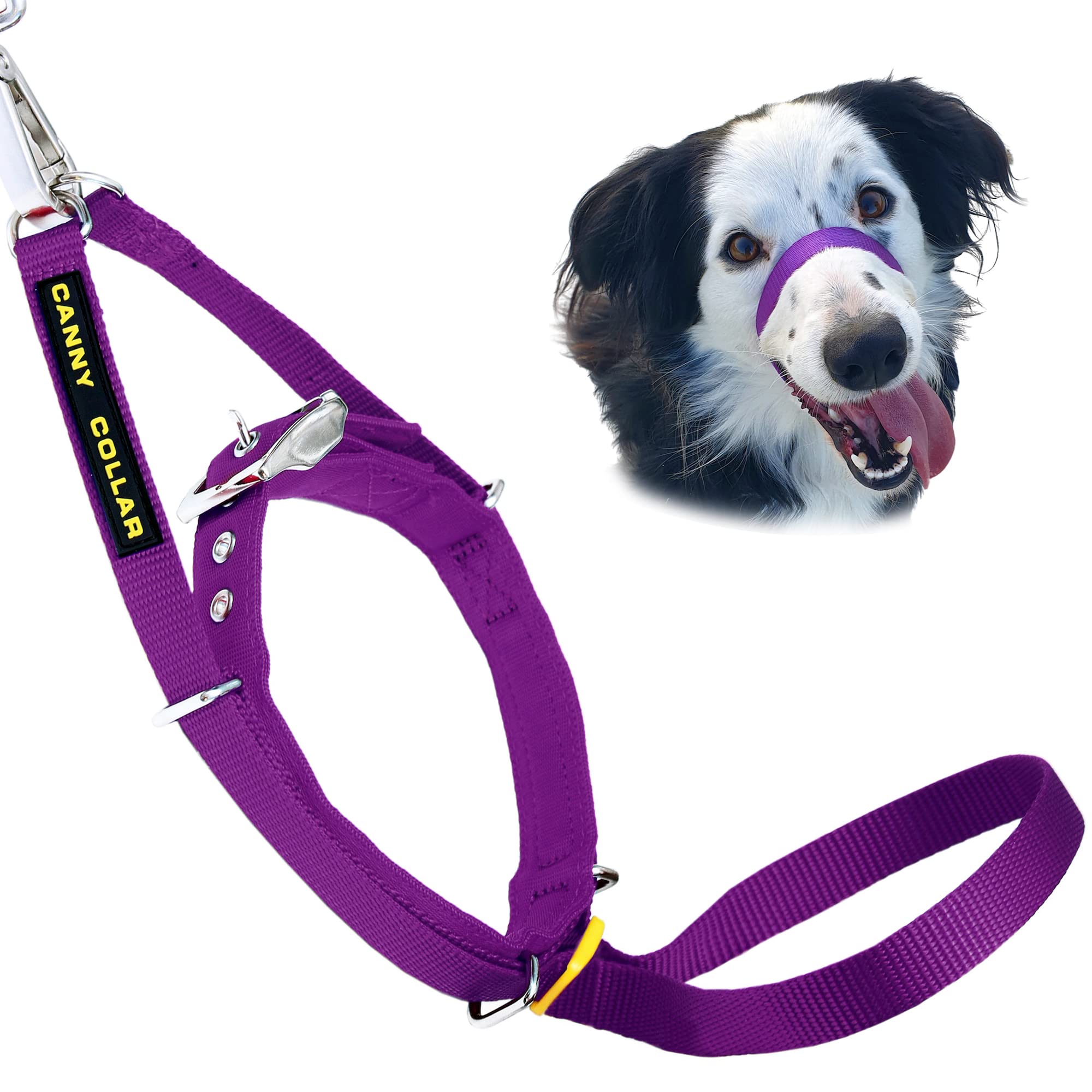 Canny Collar No-Pull Dog Collar - The Kind, Gentle Head Collar For Dogs| Dog Training Tool For Easier Dog Walking | Purple - Siz