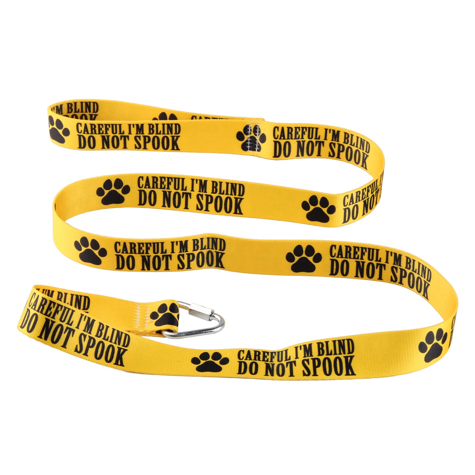 Visual Impairment Dog Leash Careful I'M Blind Do Not Spook Dog Leash Walking Training Dog Leashes Dog Owner Pet Lover Gift (Care