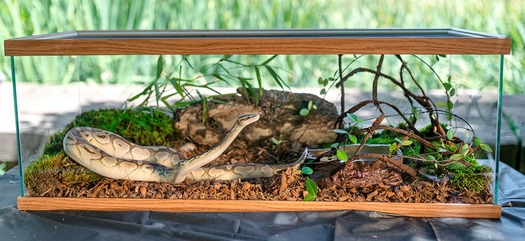 Supermoss Galápagos (05024) Jurassic Fir Bark Bedding, 8-Quart, Natural