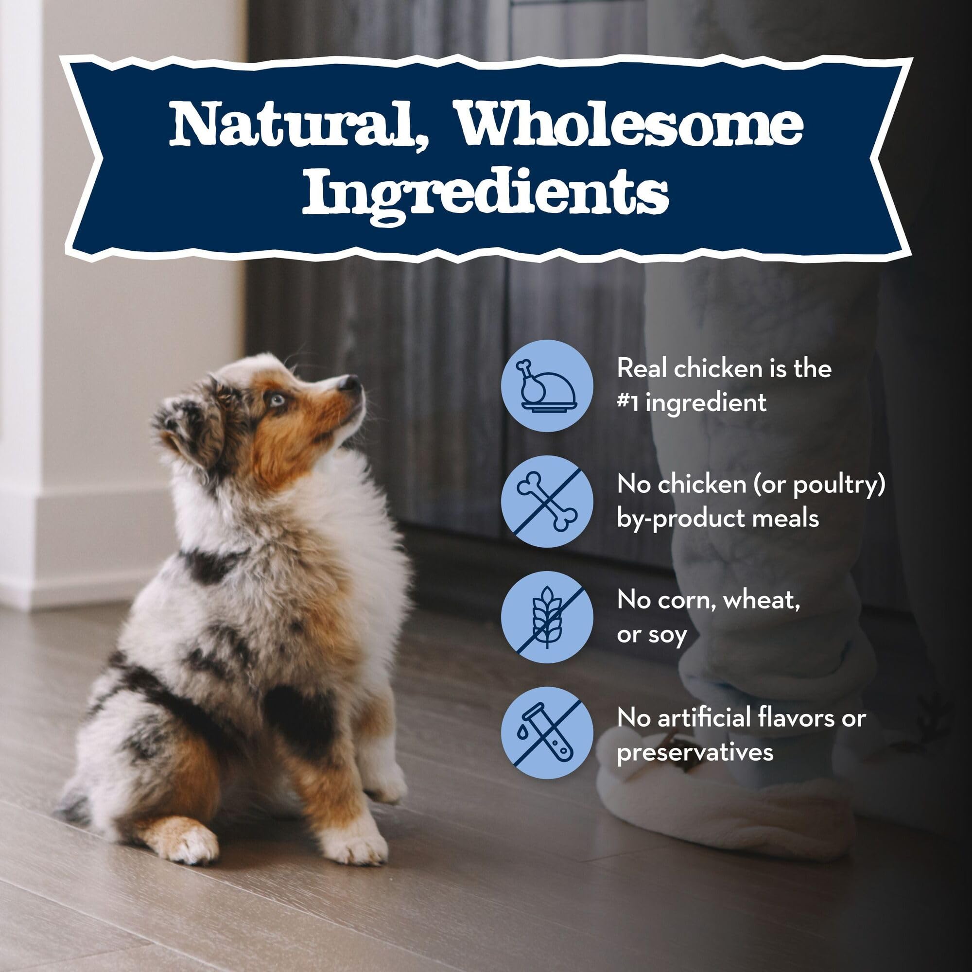 Blue Buffalo Baby Blue Natural Dry Food for Puppies, Healthy Growth Formula with DHA, Savory Chicken Recipe, 24-lb. Bag