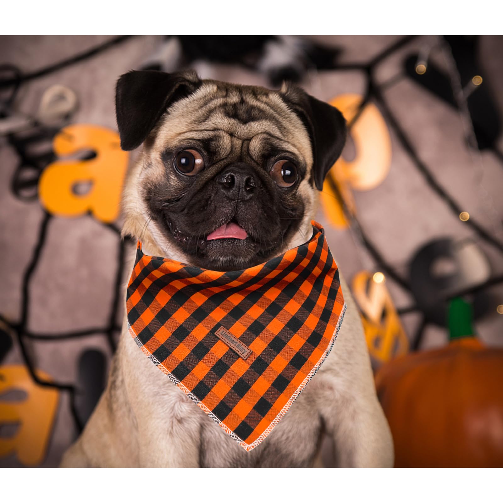 Lionheart Glory Dog Bandana 1 Pack Washable Soft Dog Scarf, Fall Bib Scarf Boy Girl Bandana Square Halloween Dog Bandanas For Small Medium Large Dog