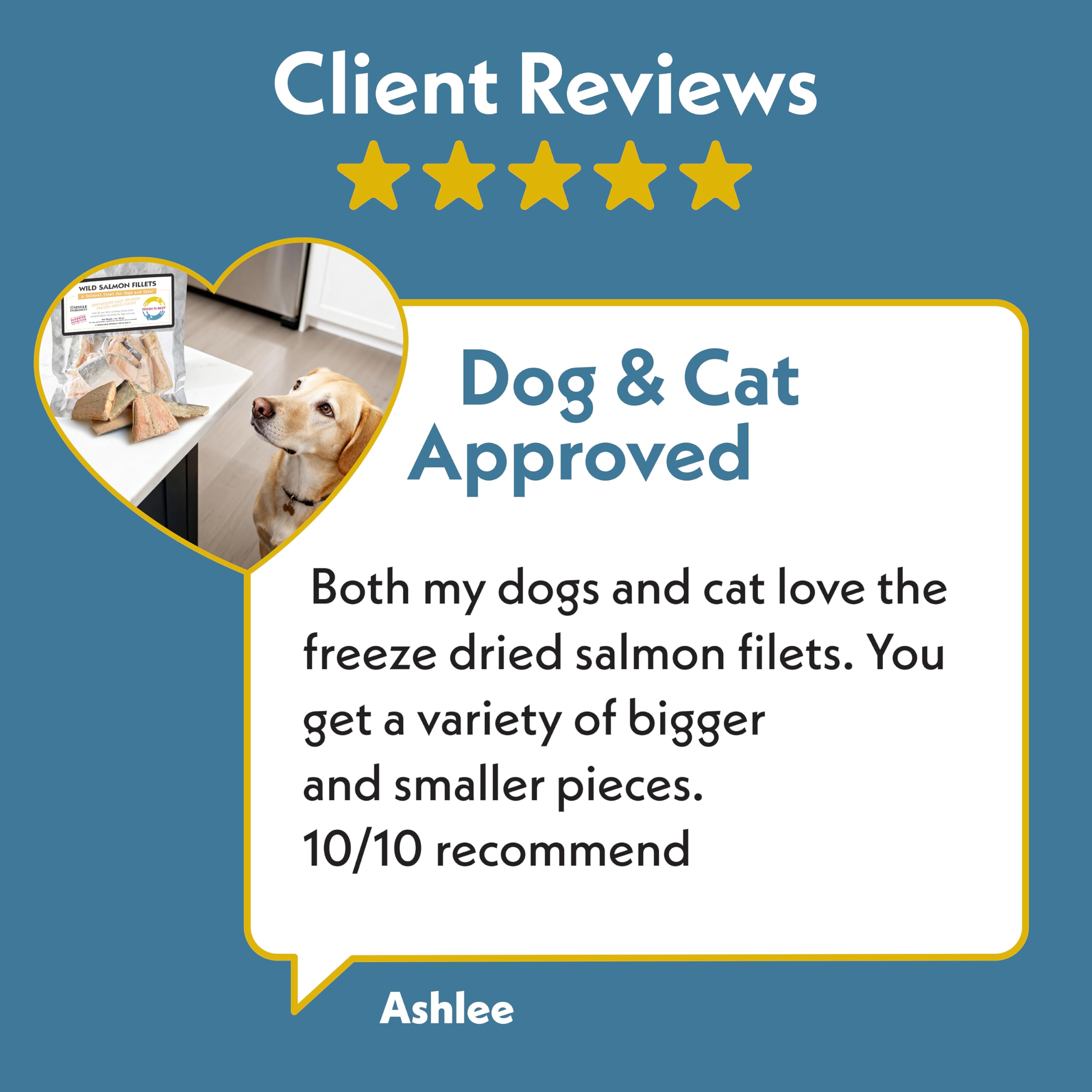Fresh Is Best - Freeze Dried Healthy Raw Meat Treats for Dogs & Cats - Wild Salmon Fillets