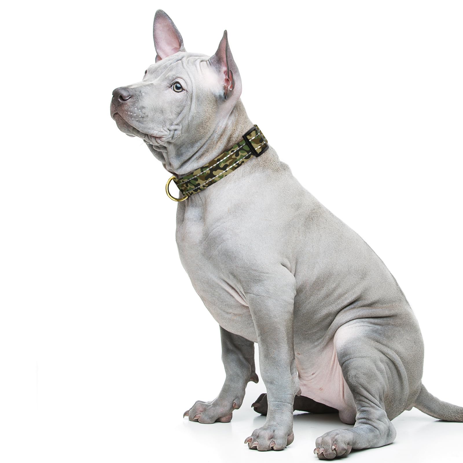 Moodel Reflective Dog Collar For Medium Dogs, Cute Camouflage Adjustable Heavy-Duty Nylon Puppy Collar For Boy And Girl Female,