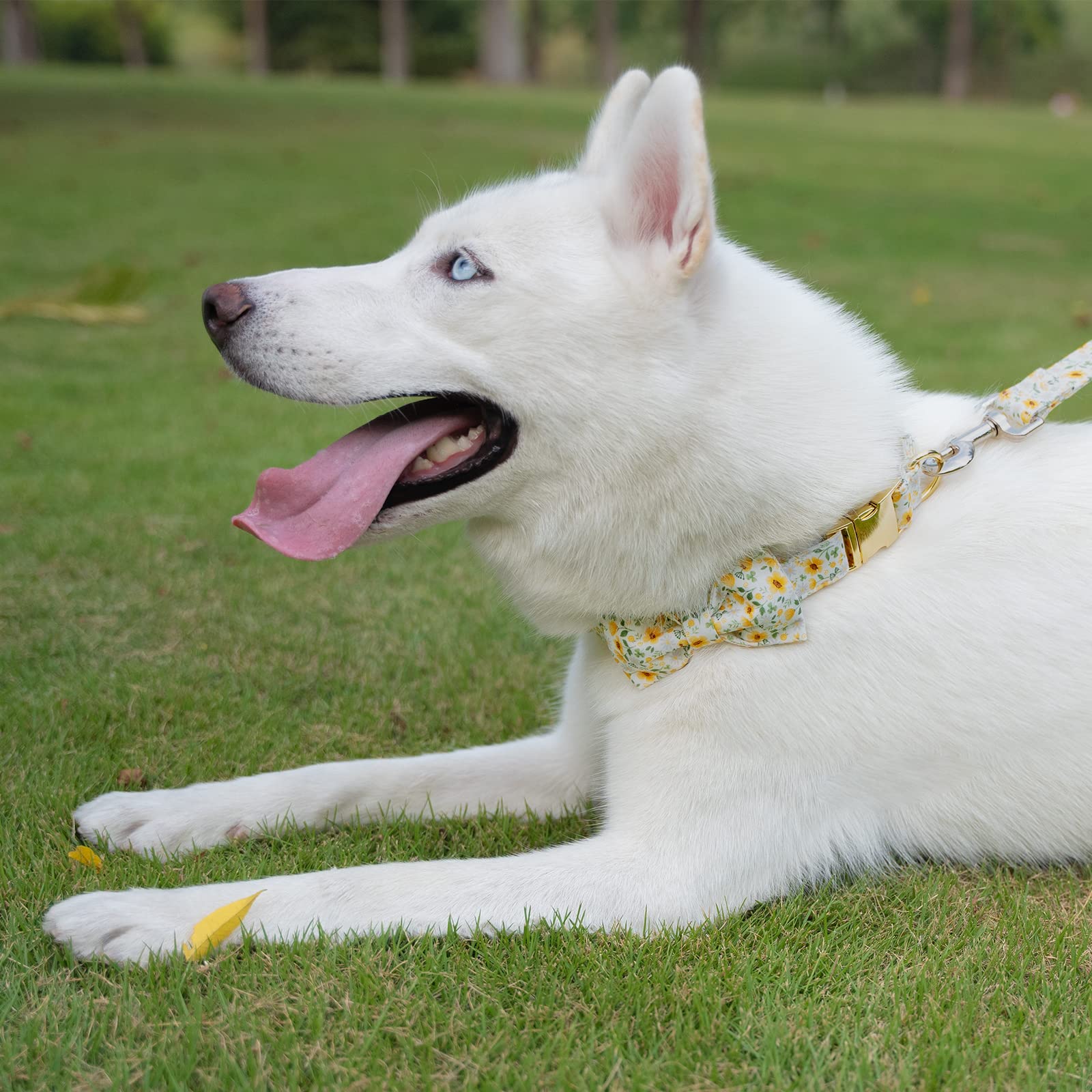 Tunkoo Dog Collar Floral With Elegant Bow Tie Soft Comfy Cotton Adjustable Collar, Premium Metal Buckle For Puppy And Cat Small Medium Large(Daisy Flowers,S)