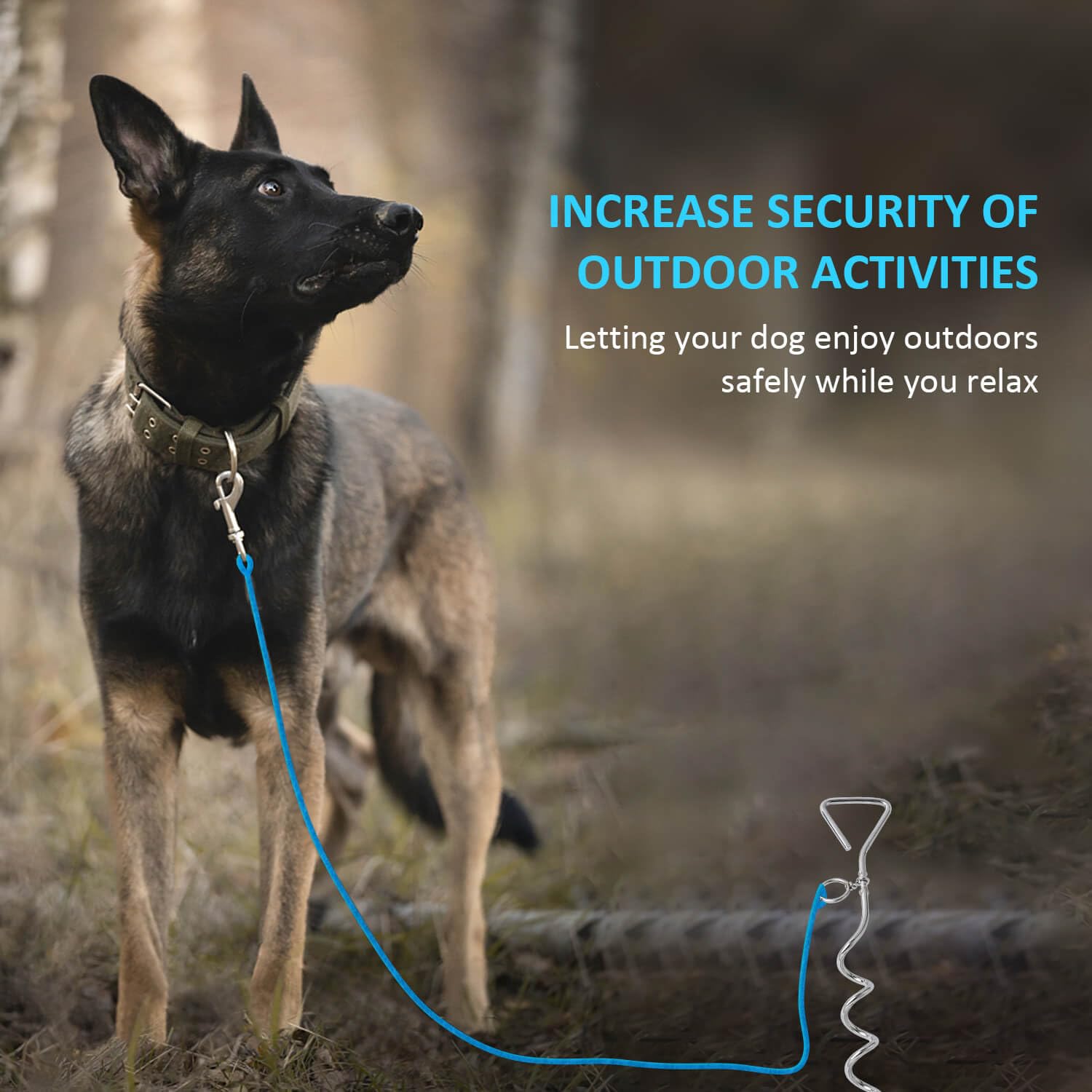 Wepet Dog Tie-Out Stake, Durable Silver Spiral Anchorstake, Secure Outdoor Tethering For All Cable Leash Chain, Camping Yard, Ru