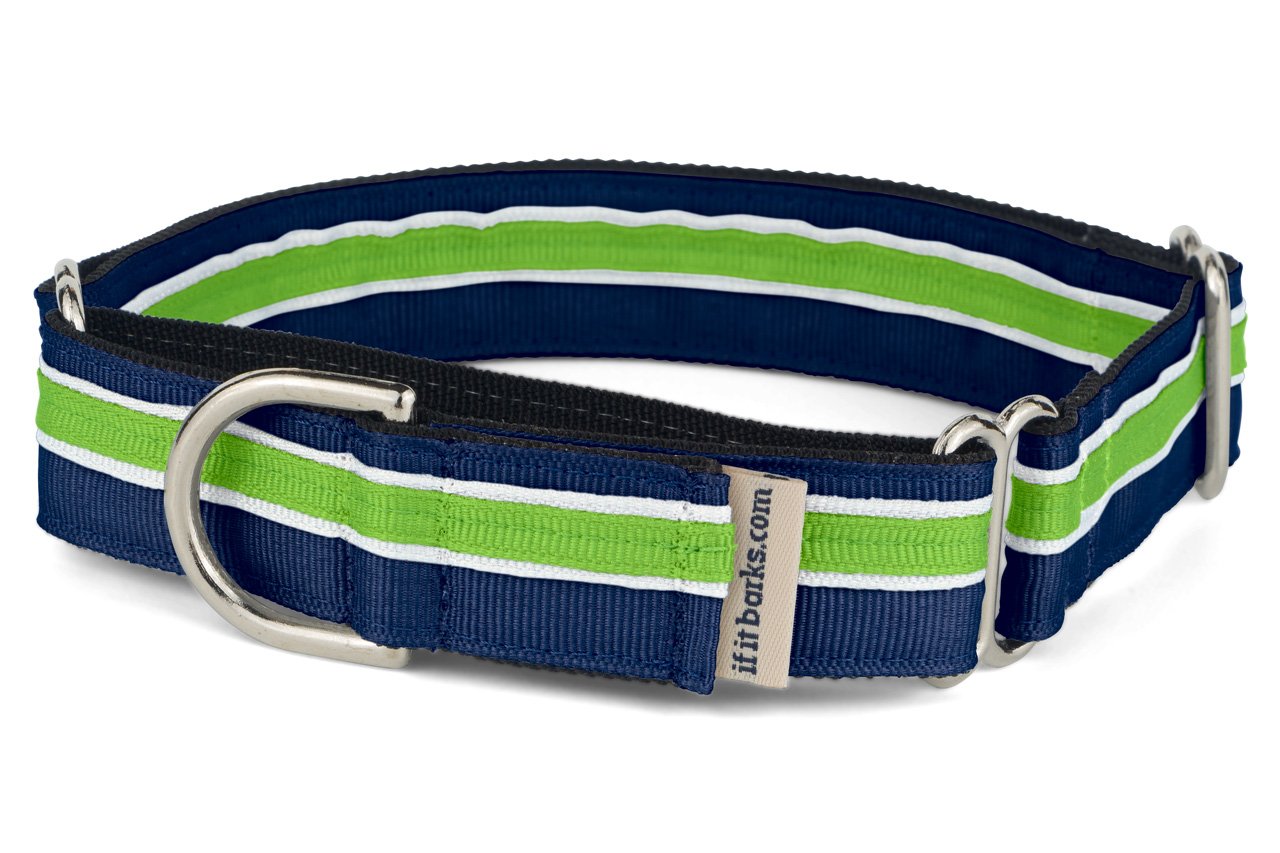 If It Barks 1'' Martingale Collar For Dogs, Adjustable Nylon, Usa Made, Medium, Finley