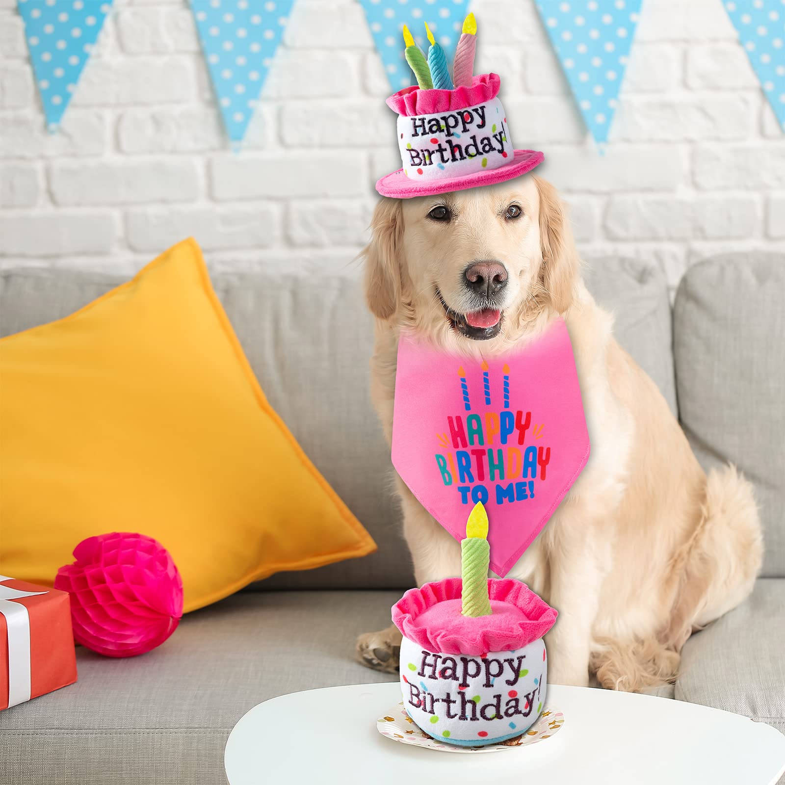 Ushang Pet Dog Birthday Cake Toys, Happy Birthday Cake Shaped Squeaky Dog Toys For Medium & Large Dogs | Funny Dogs Gifts |Plush