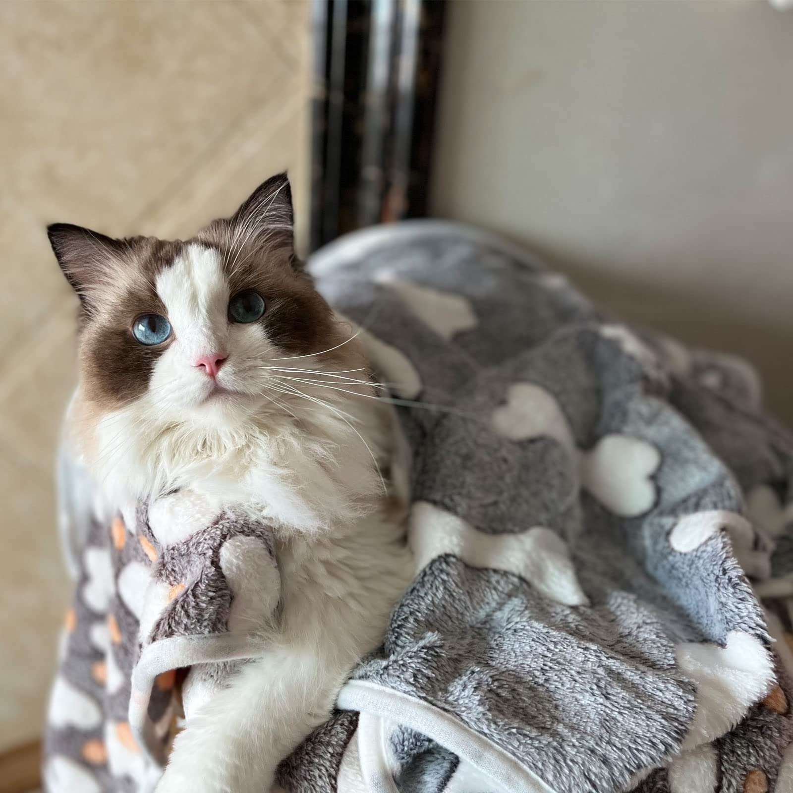 1 Pack 3 Puppy Blankets Super Soft Warm Sleep Mat Grey Cute Print Blanket Fluffy Fleece Pet Blanket Flannel Throw Dog Blankets For Small Dogs Puppy Dogs Fluffy Cats,Bone-Large(40'X30')