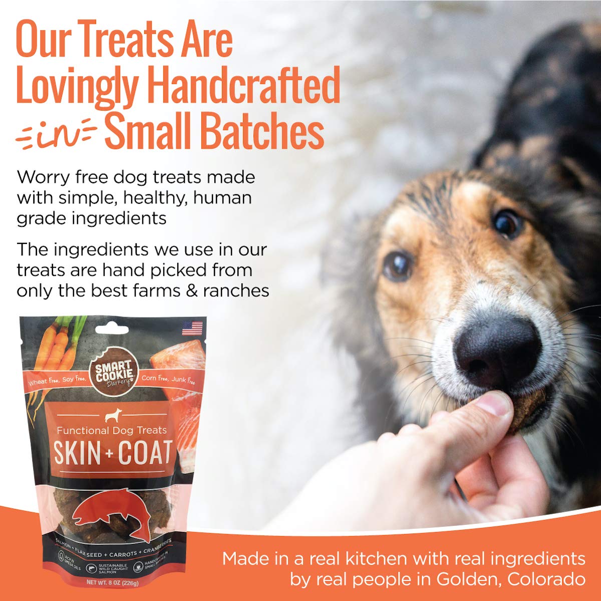 Smart Cookie All Natural Dog Treats - Healthy Skin & Coat Salmon Dog Treats - Ideal for Sensitive Stomachs or Itchy, Allergic, D