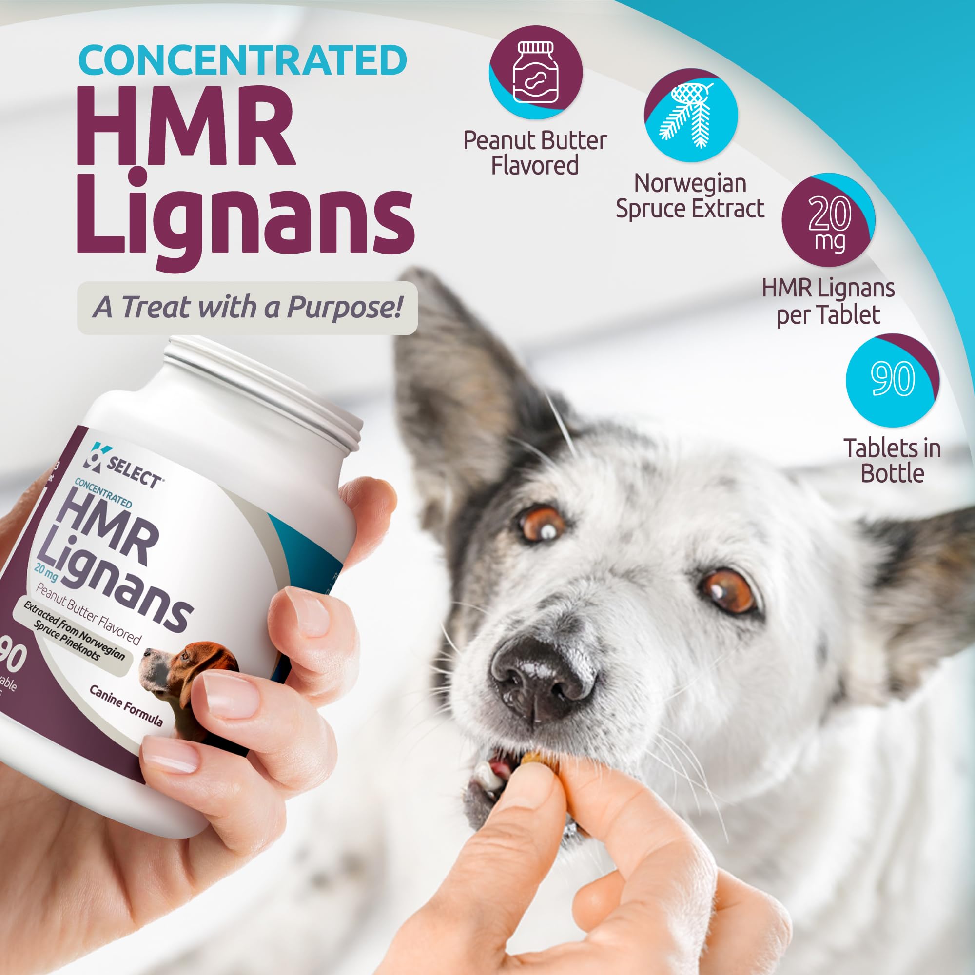 K9 Select HMR Lignans for Dogs - Enhancer for Overall Wellness, Immune Support for Dogs - Norway Spruce Extract Holistic Dog Hea