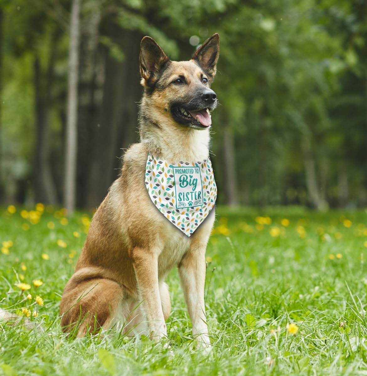 Dog Bandana - Promoted To Big Sister, Green/Orange Leaf Print Scarf, Pet Gender Reveal Accessories, Gift (F23)