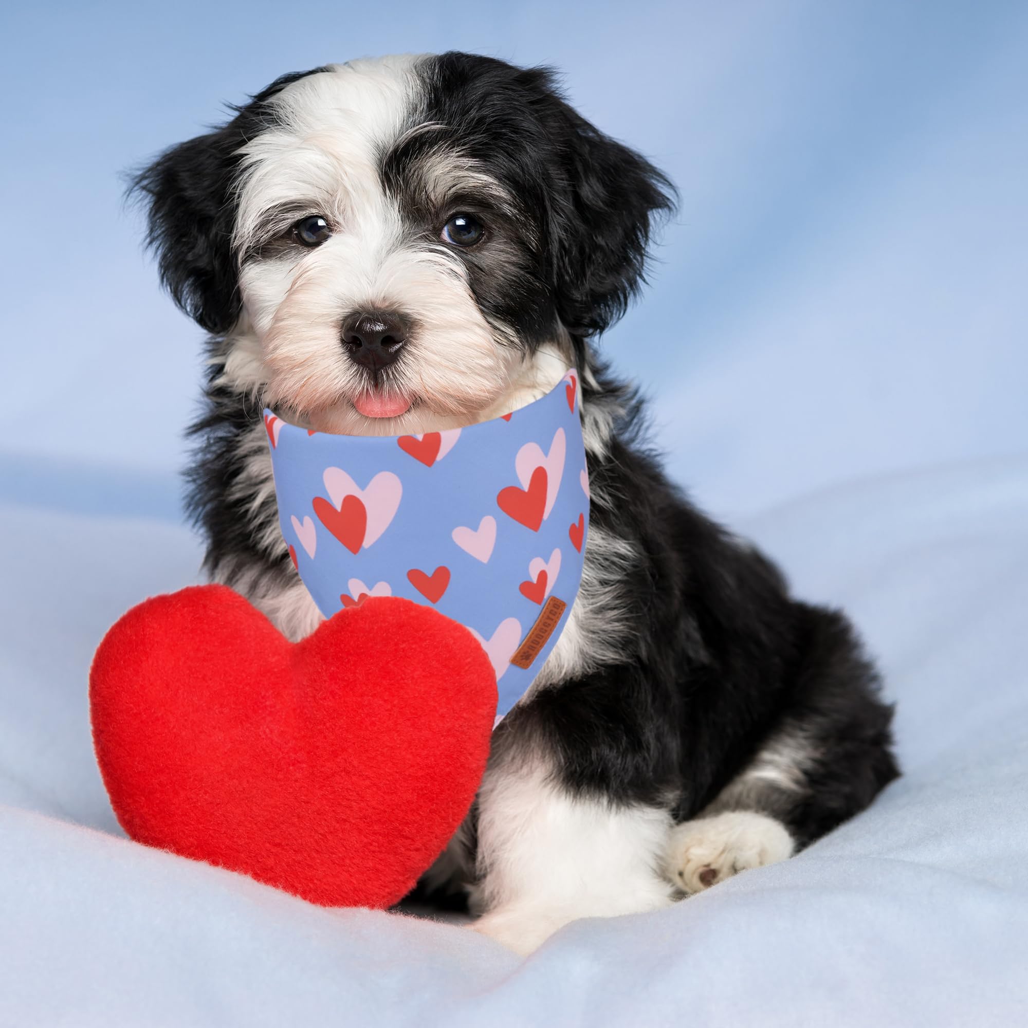 ADOGGYGO Valentine Dog Bandana, Blue Pink Heart Pet Scarf, Premium Durable Fabric, Adjustable Fit Pet Valentine Bandanas for Sma