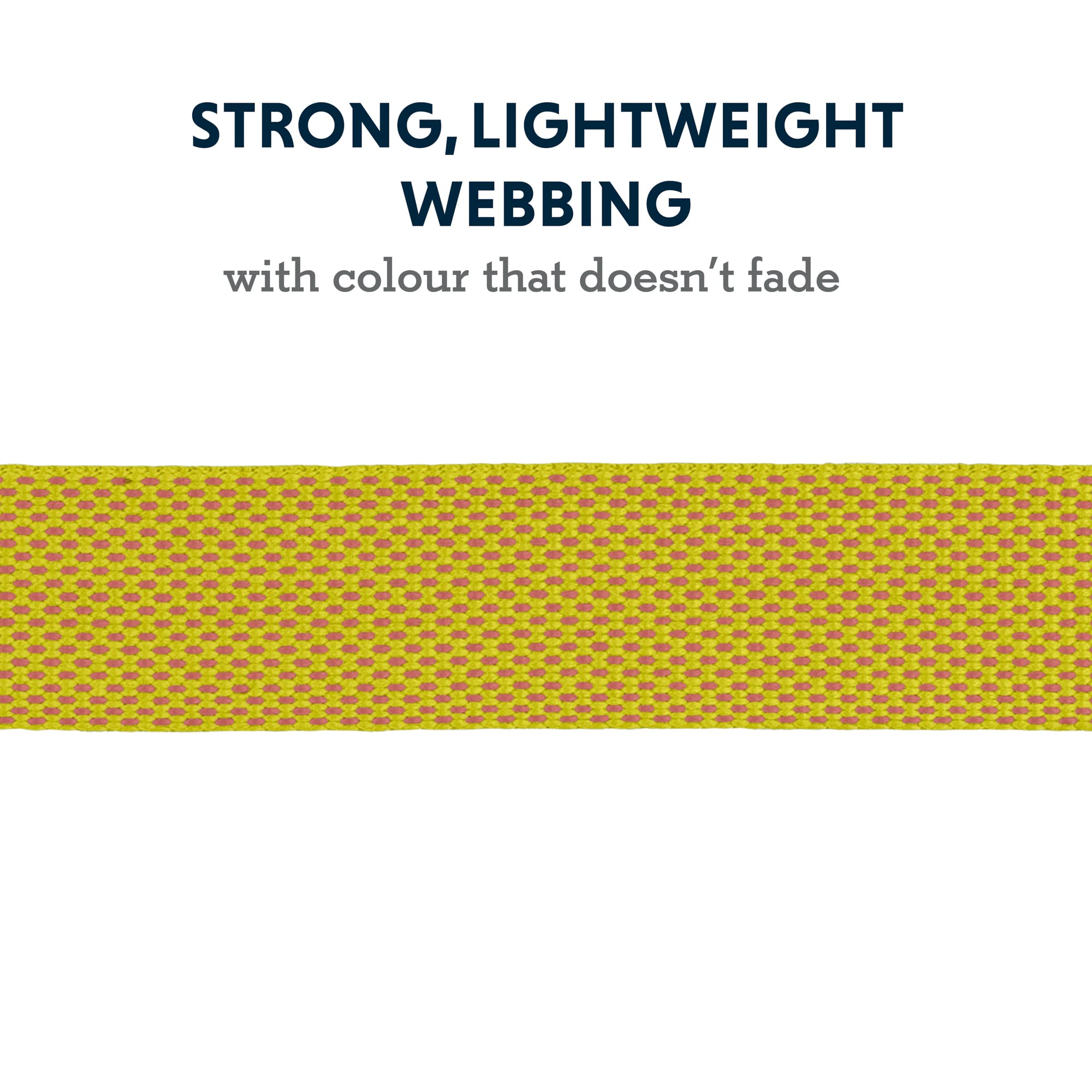 Ruffwear, Hi & Light Dog Collar, Minimal And Ultralight Collar For Everyday Walks And Runs, Lichen Green, 9''-11''