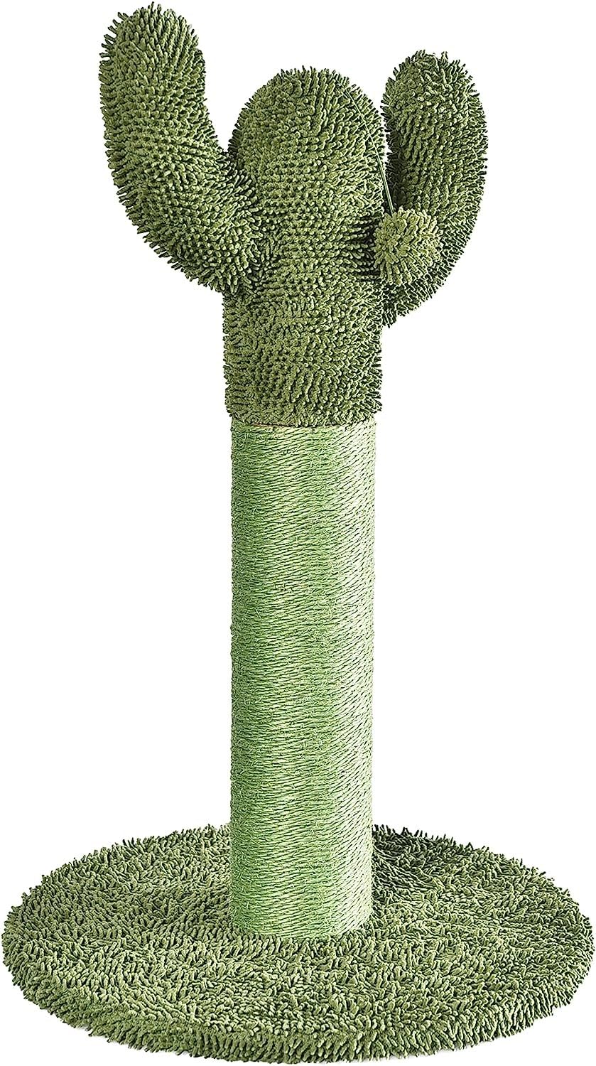 Amazon Basics Cat Scratcher - Indoor Cactus Single Cat & Kittens Scratching Post With Dangling Ball, Medium (25.6''H) - Green
