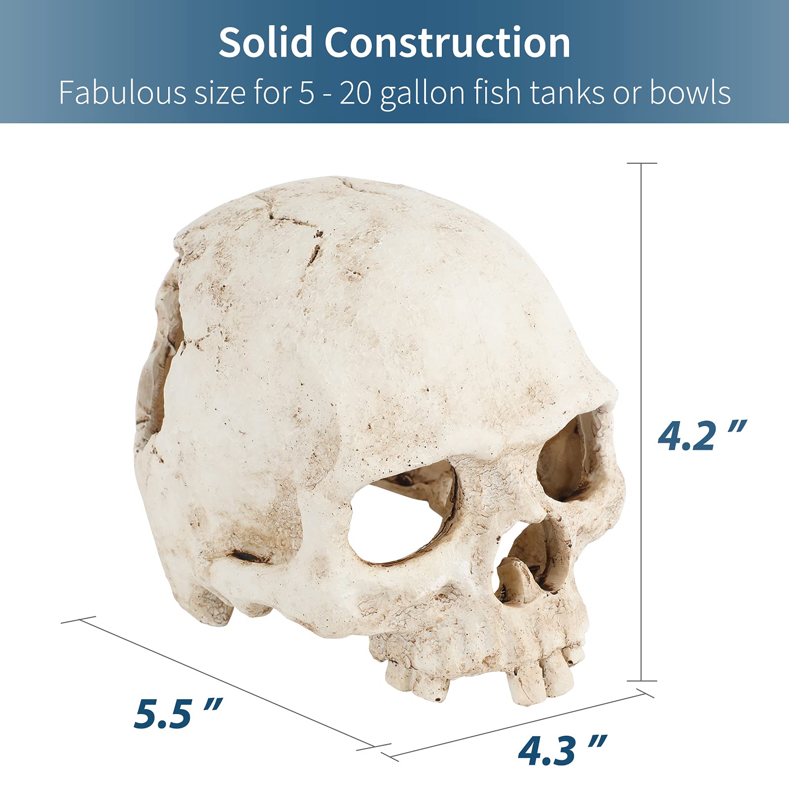 Uniclife Aquarium Skull Reptile House Decor Resin Head Skeleton Ornament For Tank Landscape Decorative Hideout Cave Shelter For Small Fish Shrimp Snail Gecko Spider Lizard In 5-20 Gallon Fish Tank