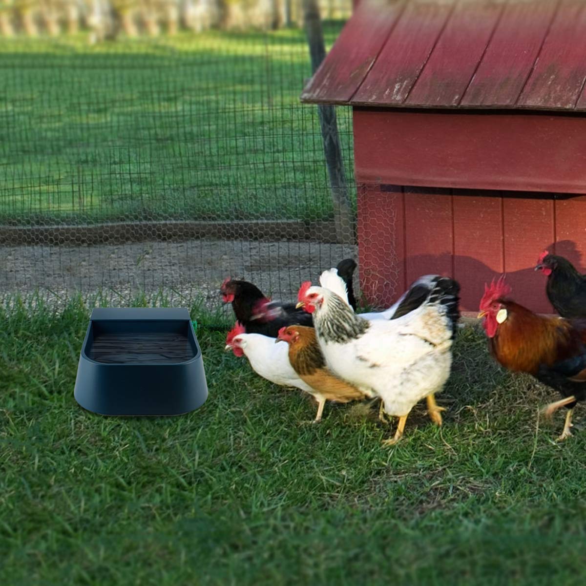 Namsan Automatic Water Dispenser For Dogs, Auto Fill Water Bowl For Cats Rabbits Chicken, Float Valve Water Feeder Outdoor Livestock, Self Filling Water Trough Dog Waterer, Self-Assembly