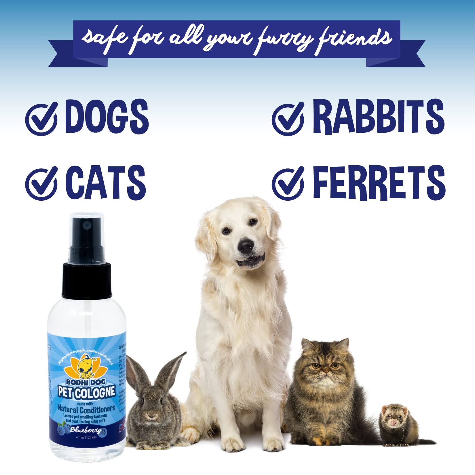 Bodhi Dog Natural Dog Cologne (Blueberry) - Premium Scented Deodorizing Pet Perfume with Conditioner for Dogs & Cats - Keeps Pet