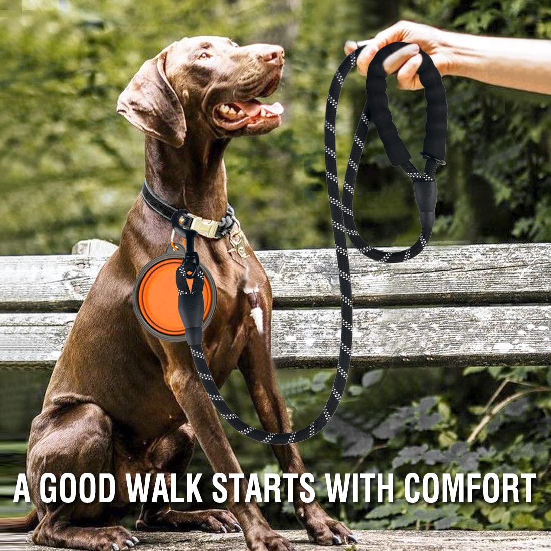 Cooyoo 2 Pack Dog Leash 4 Ft Heavy Duty - Comfortable Padded Handle - Reflective Dog Leash For Medium Large Dogs With Collapsibl