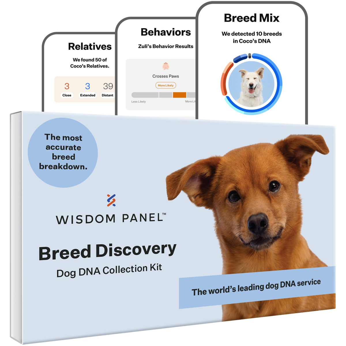 Wisdom Panel Breed Discovery Dog Dna Kit: Most Accurate Dog Breed Identification, Test For 365+ Breeds, Mdr1 Health Test, Ancestry, Relatives