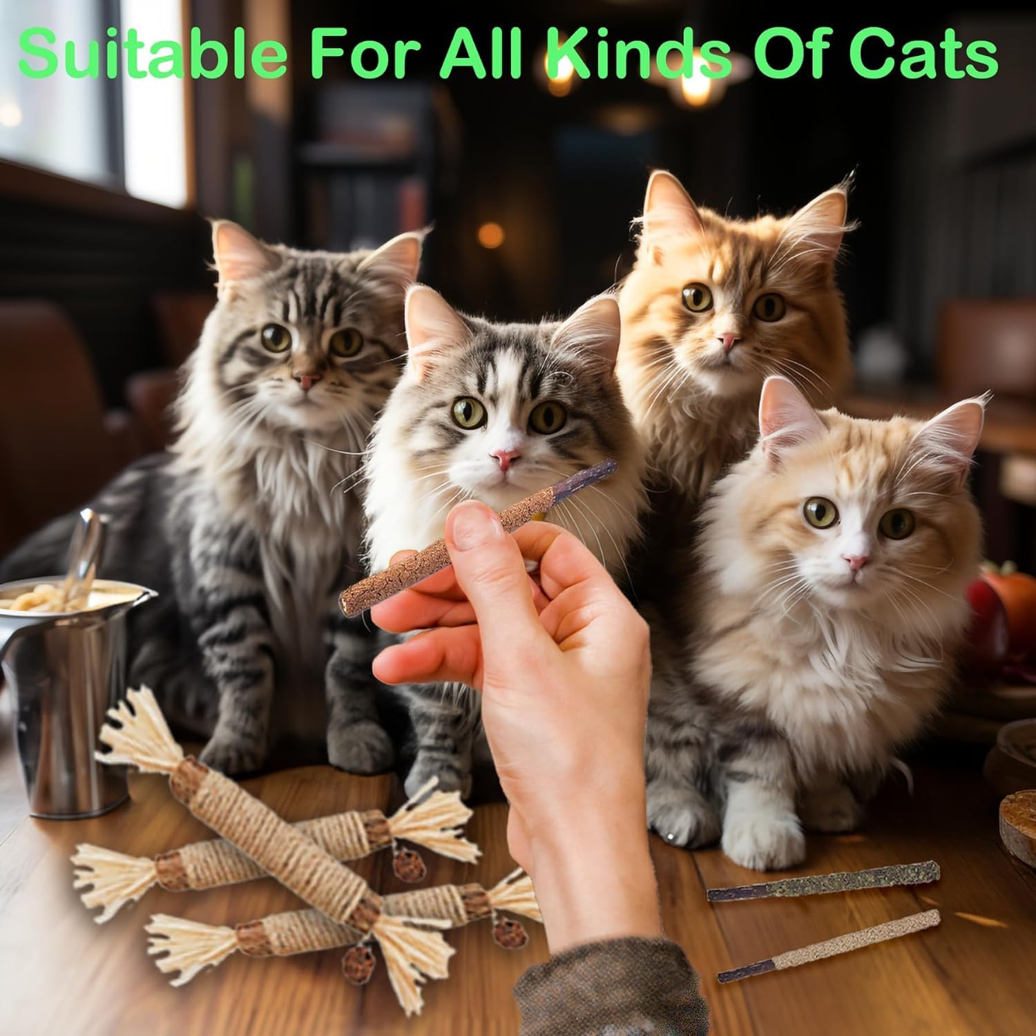 NSWXZDS Cat Toys 12Pack Kitten Silvervine Toy Indoor Catnip Toys Kitty Chew Stick with Feather Kitten Treat for Teeth Cleaning D