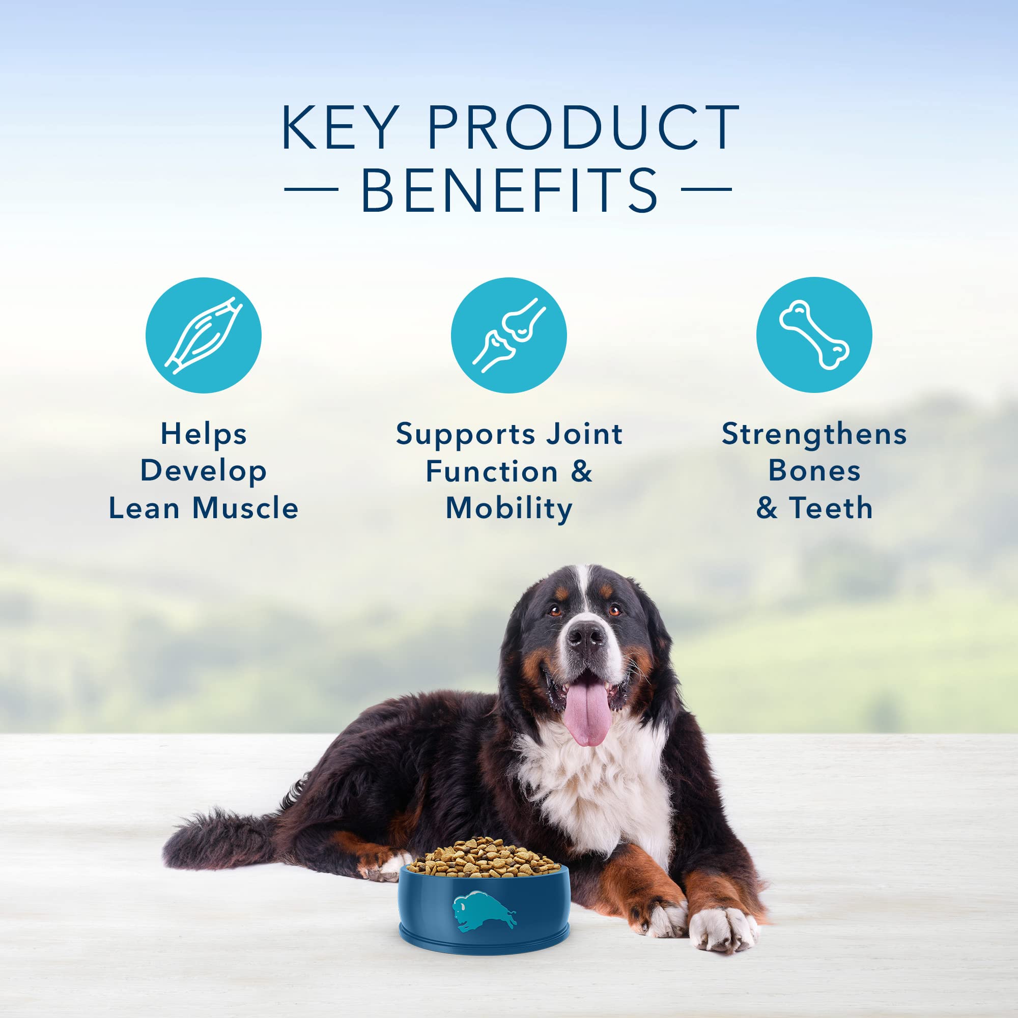 Blue Buffalo Life Protection Formula Large Breed Adult Dry Dog Food, Promotes Joint Health and Lean Muscles, Made with Natural I