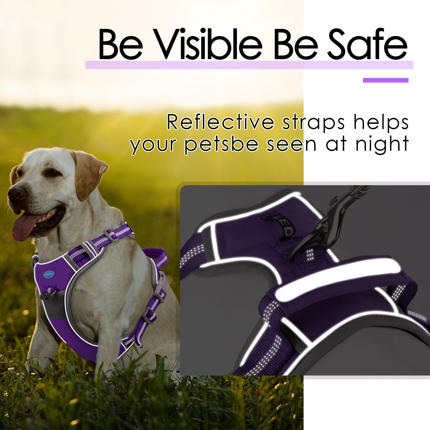 Thinkpet No Pull Harness Breathable Sport Harness With Handle-Dog Harnesses Reflective Adjustable For Medium Large Dogs,Back/Front Clip For Easy Control M Neon Purple