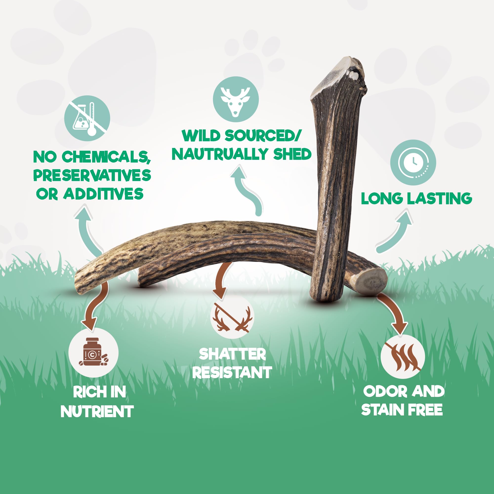 Jack&Pup Whole Elk Antlers For Dogs Large | Naturally Shed Rawhide Free Dog Chews Long Lasting Elk Horns For Dogs | Dog Antlers