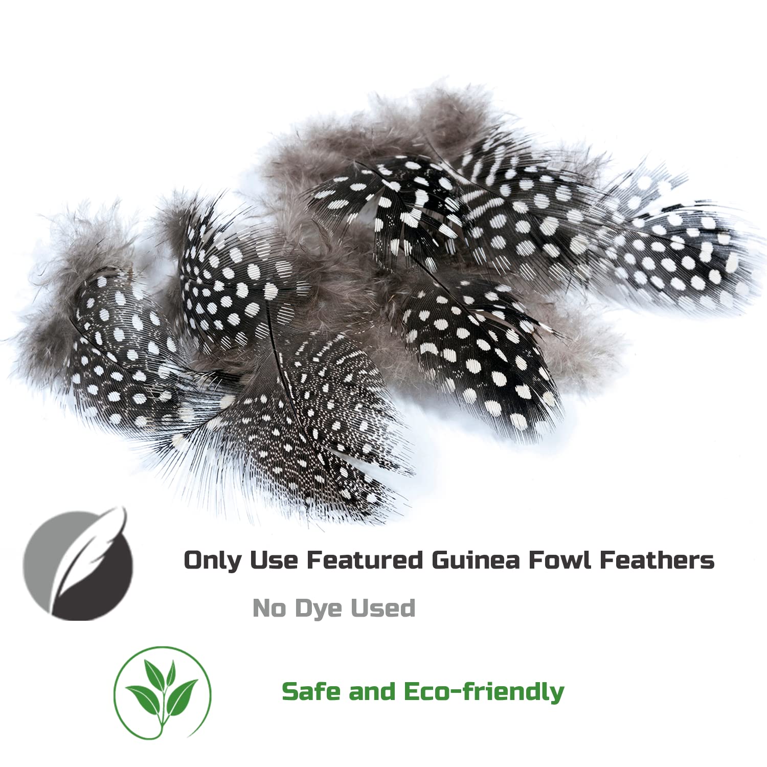 FUPUSUN Cat Feather Toys, Interactive Cat Toys Kitten Toys, 2PCS Elasticity Cat Wand Toy and 7PCS Feathers Refills, Cat Toys for