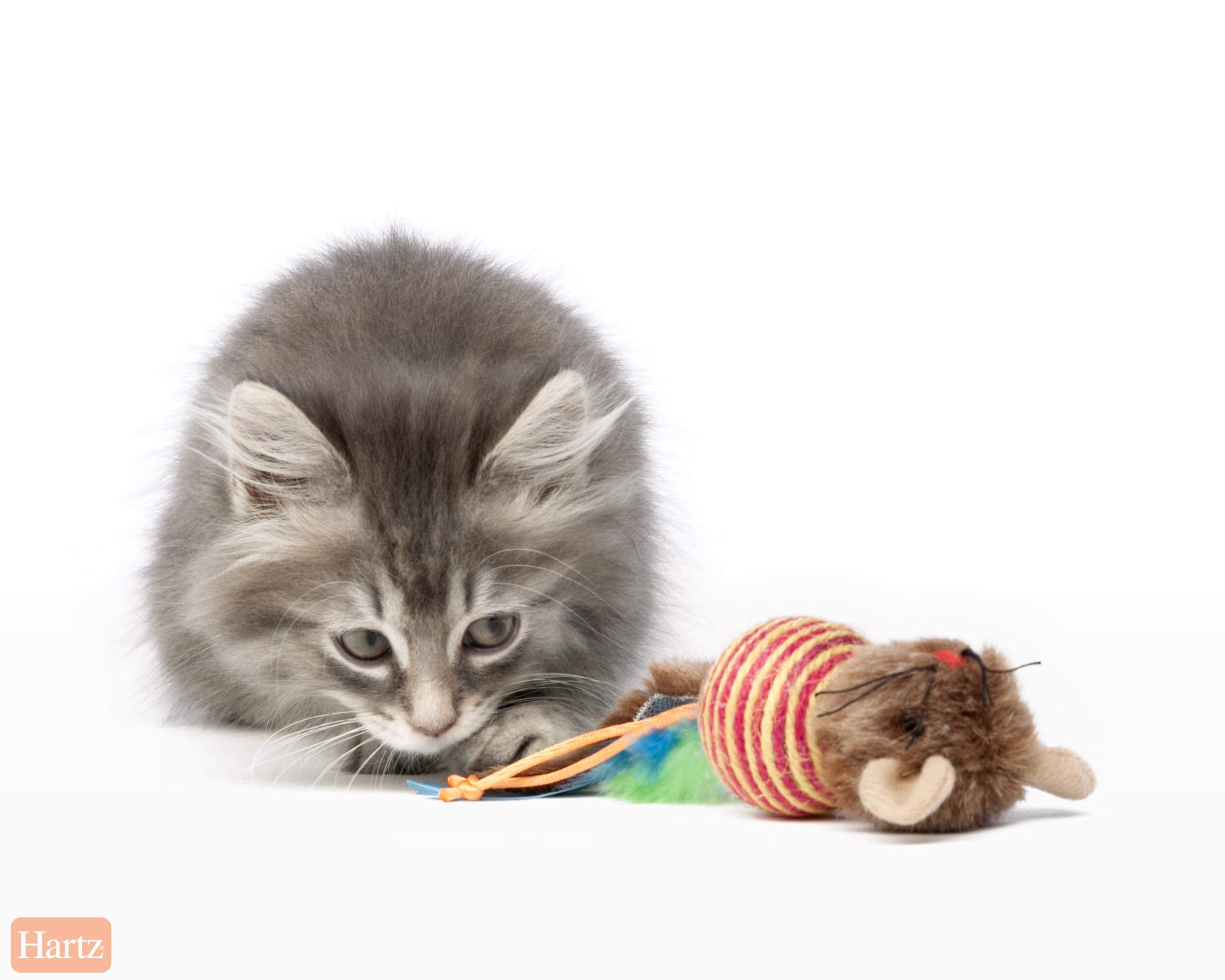 Hartz Just For Cats Roll About Mouse Catnip Toy, Swat (3270014950)