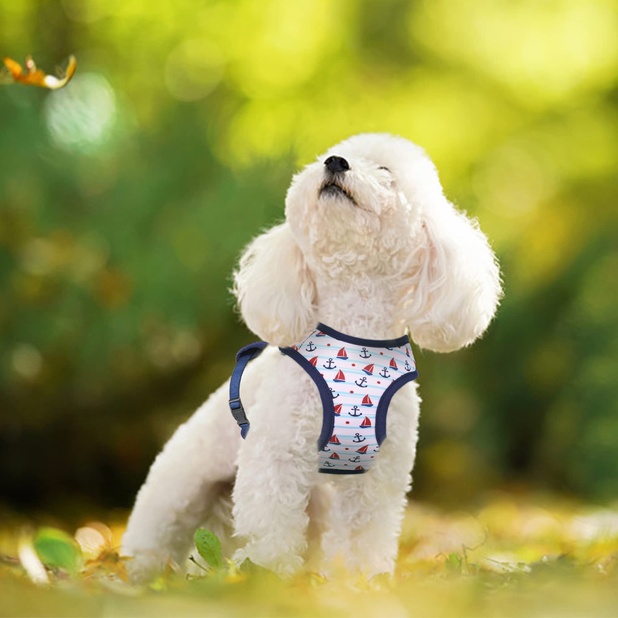 Mile High Life Step In Dog Harness For Small Dogs No Pull, Easy Get On Air Mesh Vest Harness, Adjustable Easy Closures Both Neck