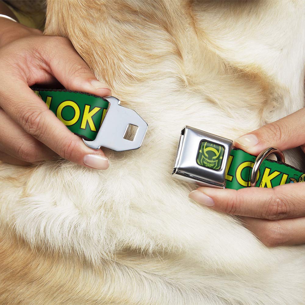 Buckle-Down Dog Collar Seatbelt Buckle Kawaii Loki Standing Pose Text Green Yellow 18 To 32 Inches 1.5 Inch Wide, Multi Color, (Dc-Sb-Thai-Wth024-1.5-L)