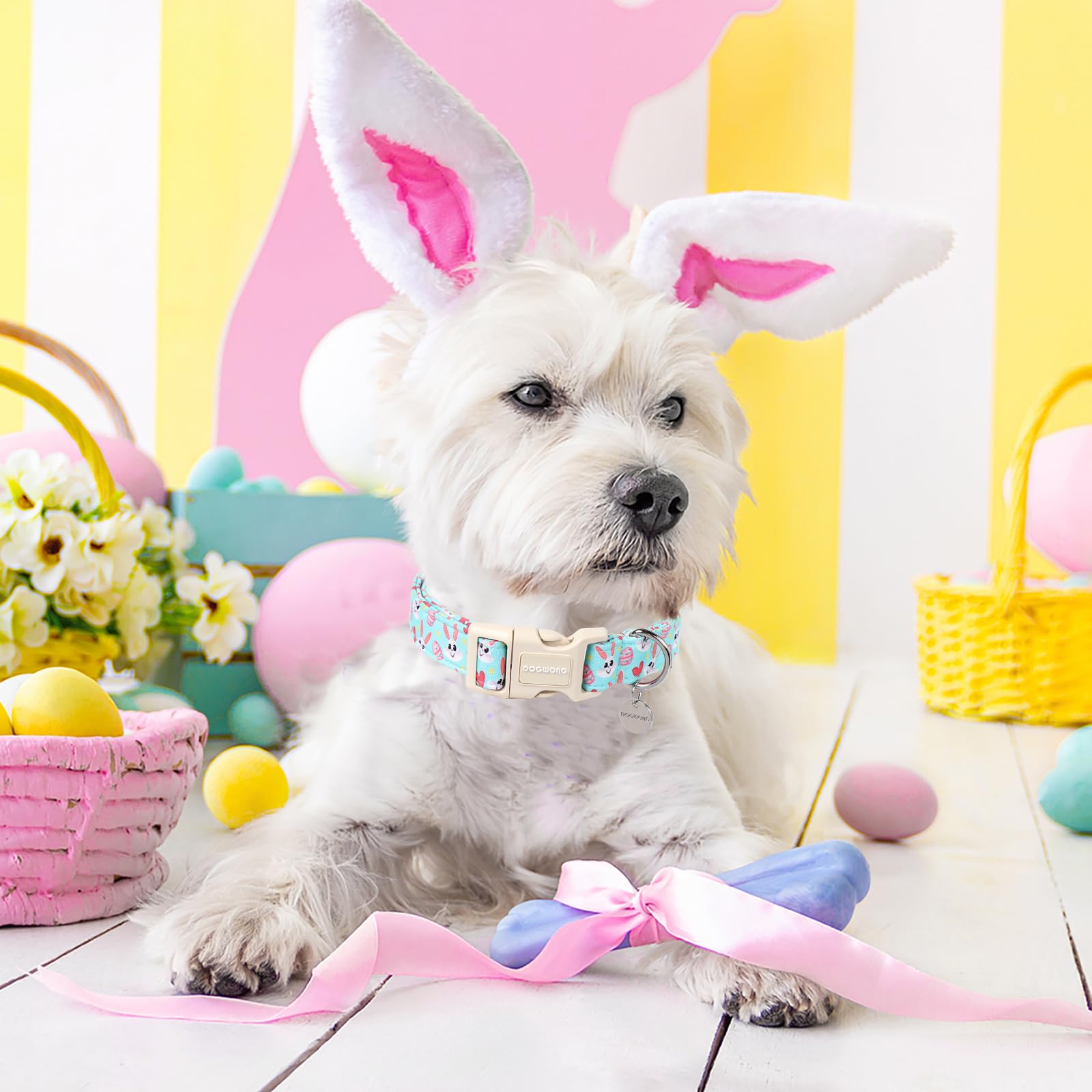Dogwong Easter Dog Collar, Blue Bunny Egg Dog Collar Soft Durable Adjustable Costume Cute Rabbit Easter Puppy Collar For Small M
