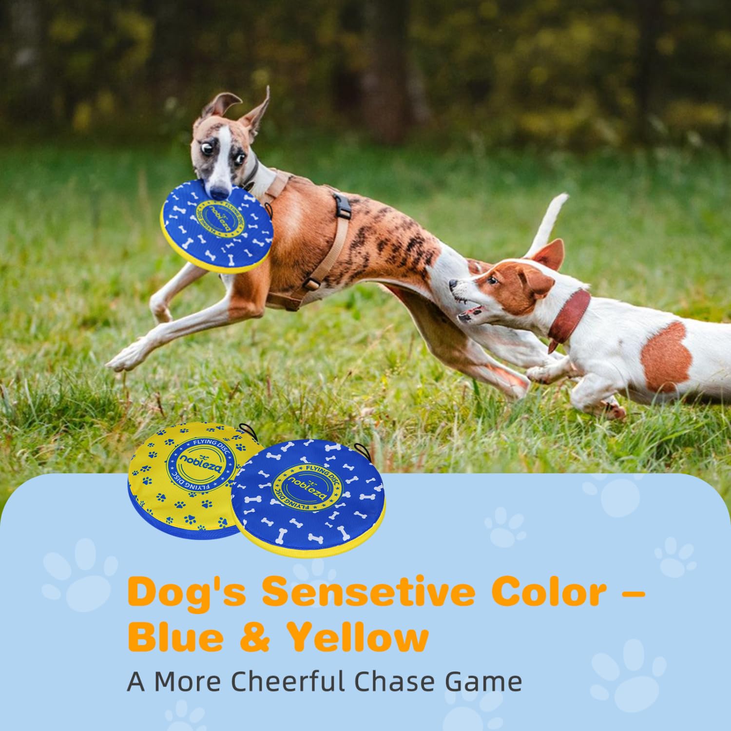 Nobleza 2 Pack Dog Flying Disc, Floatable Dog Disc Toy For Long-Distance Flies And Floats, Lightweight Soft Flying Discs Toy For