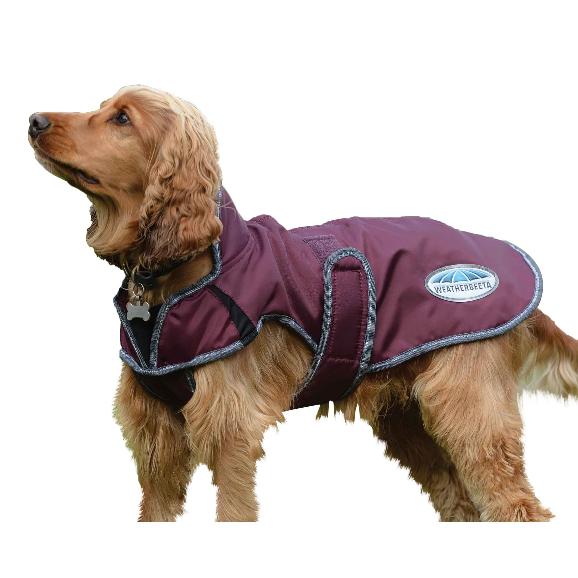 Weatherbeeta Comfitec Windbreaker Free Deluxe Dog Coat, Dark Blue/Grey/White, 16'